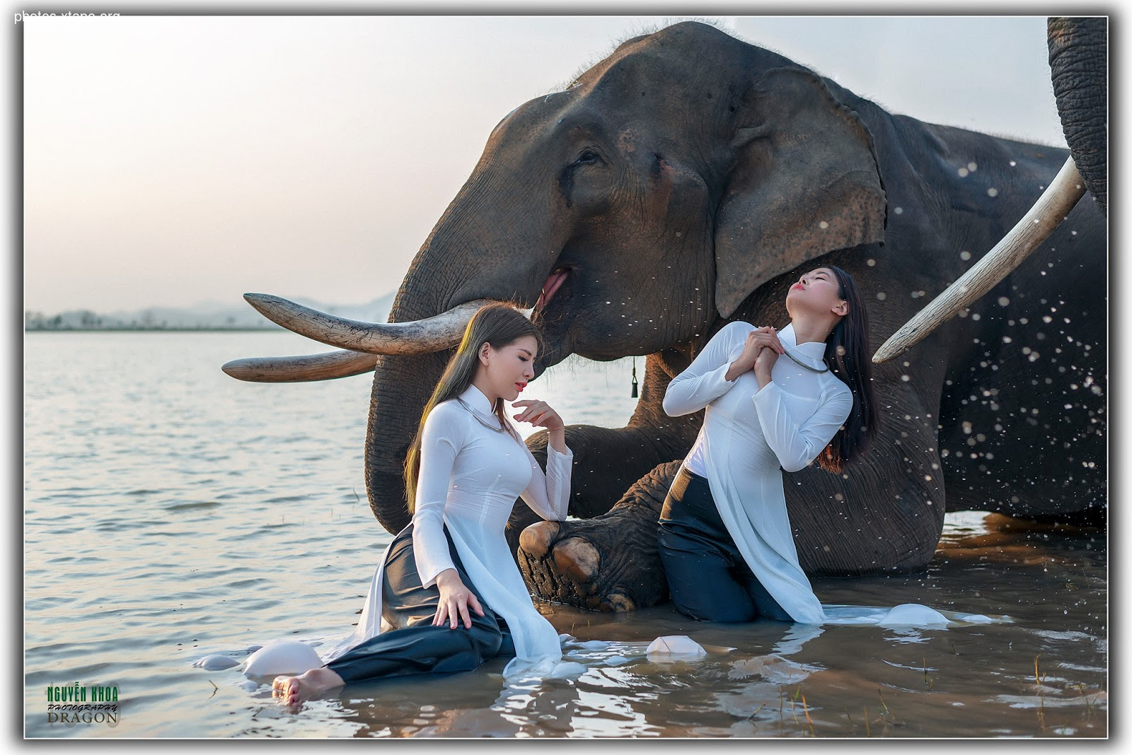 Thao Chi vs Kim Phung,