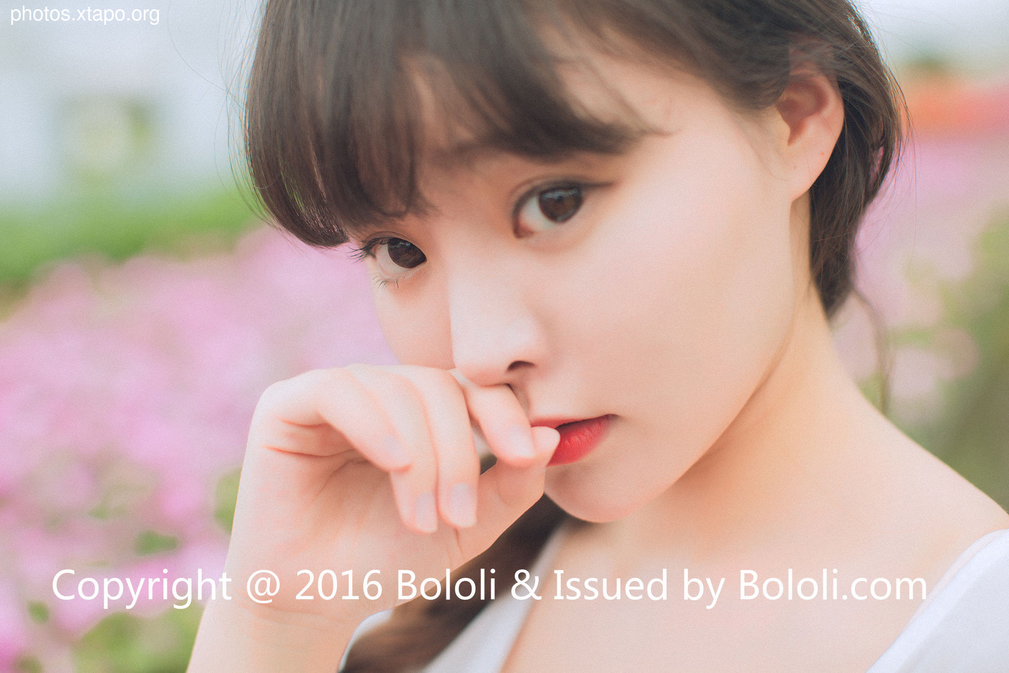 Liu Yanqi Universal Collection Bololi Bolo Society bol.100