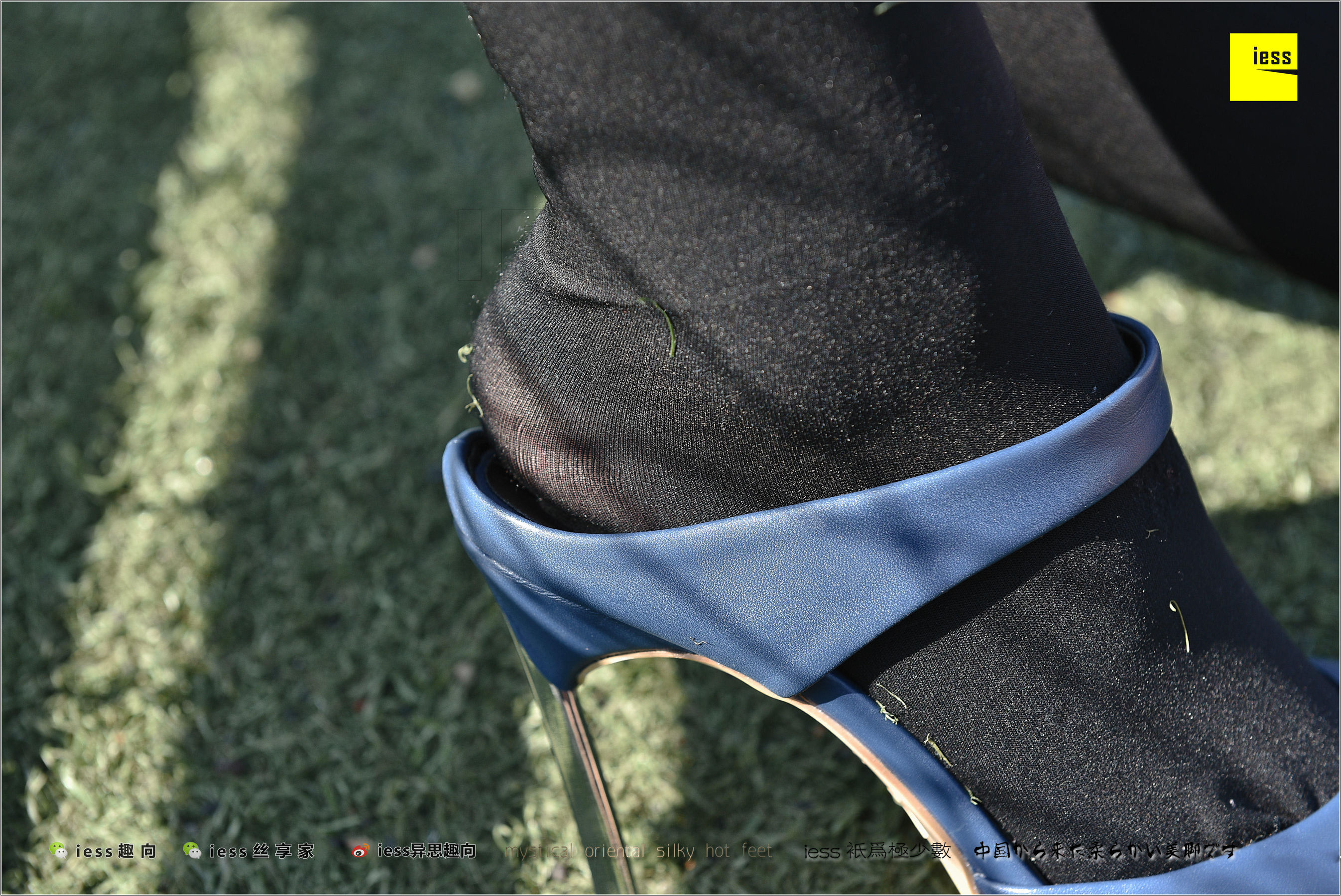 Silk Foot Bento 182 The Thick Black Silk Temptation of Thick Black Silk