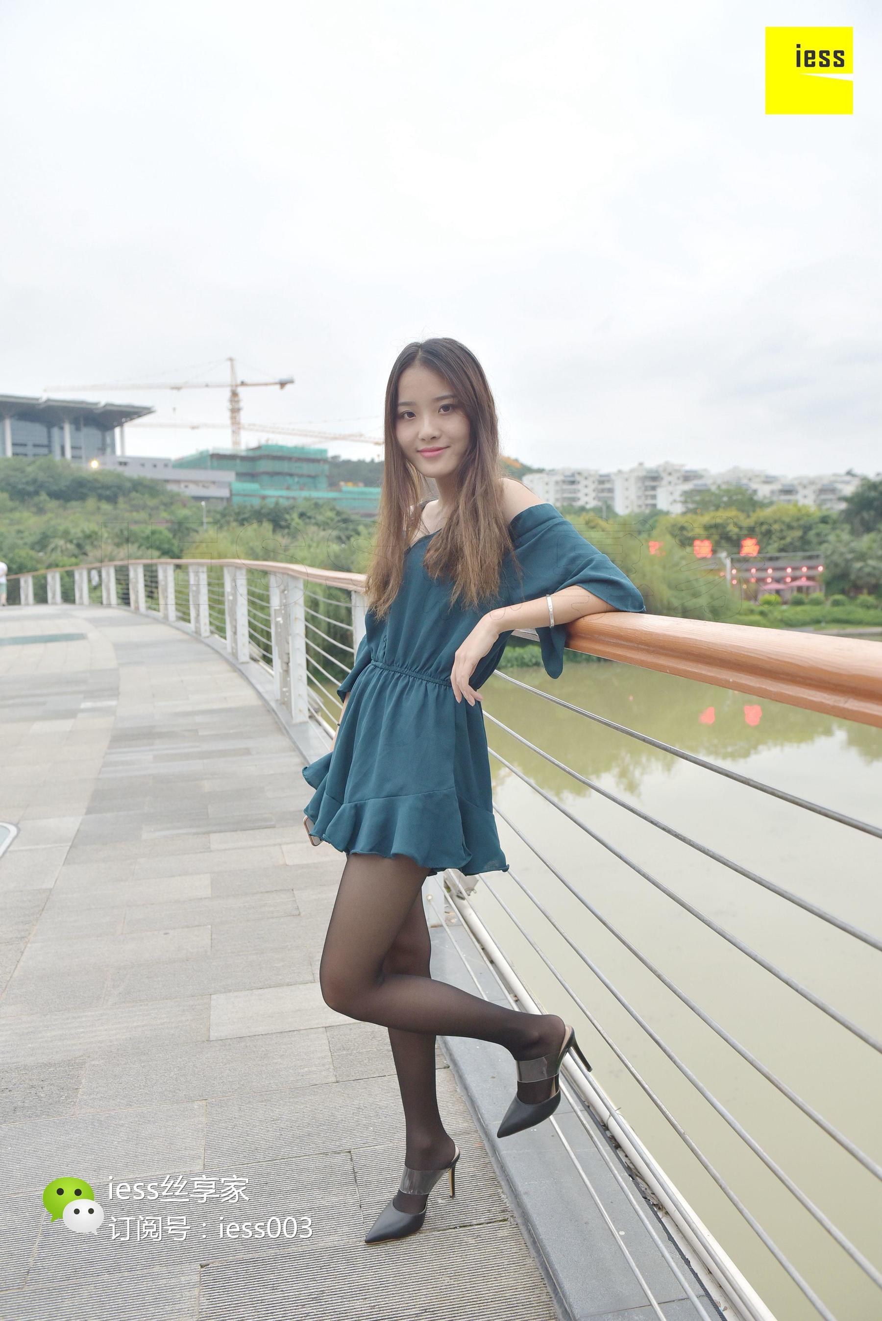 Silk House 029 Wan Ping Little Bridge Flowing Water Black Silk