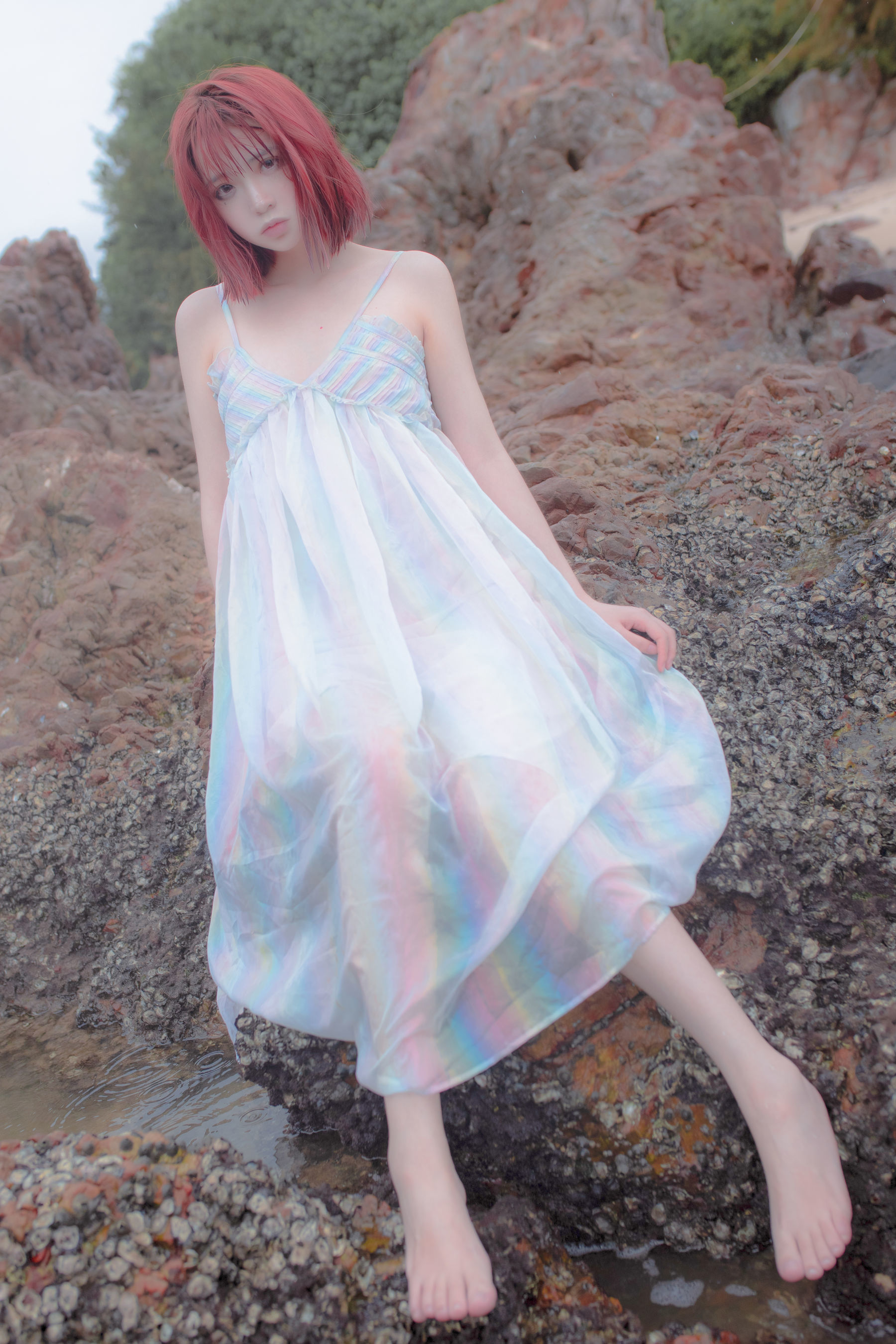 Net Red Coser Crazy Cat SS -Reef Mirror of Thinking