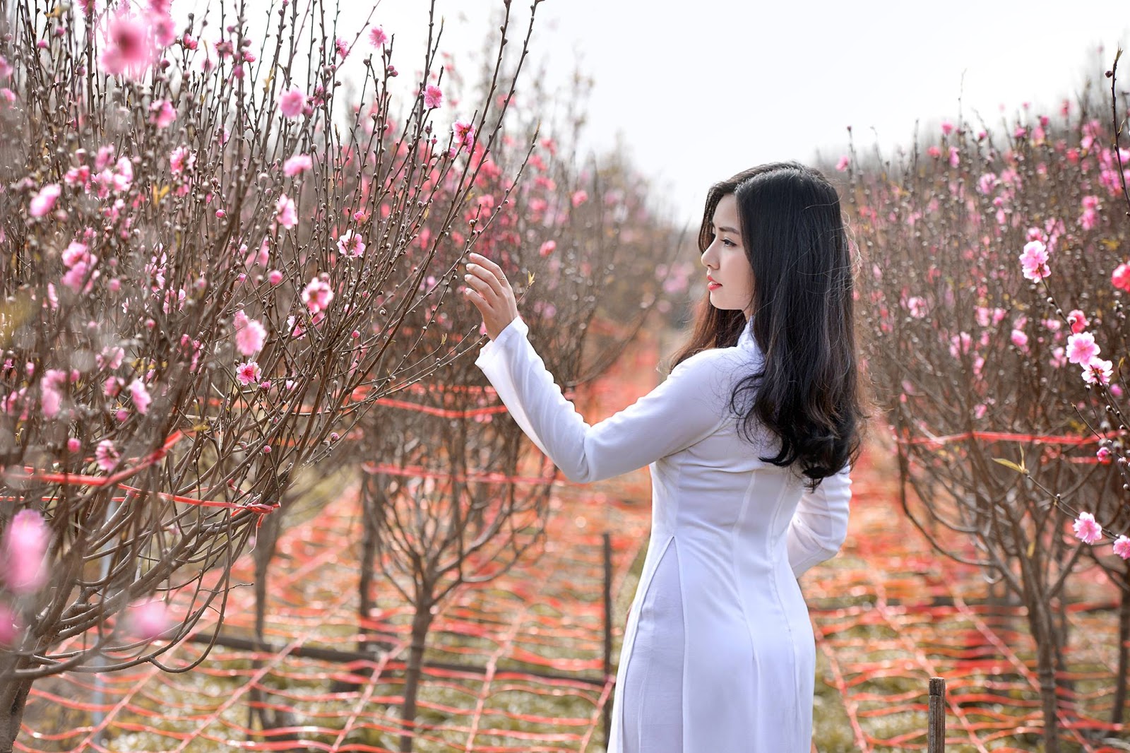 Top 100 most beautiful long dresses in Vietnam
