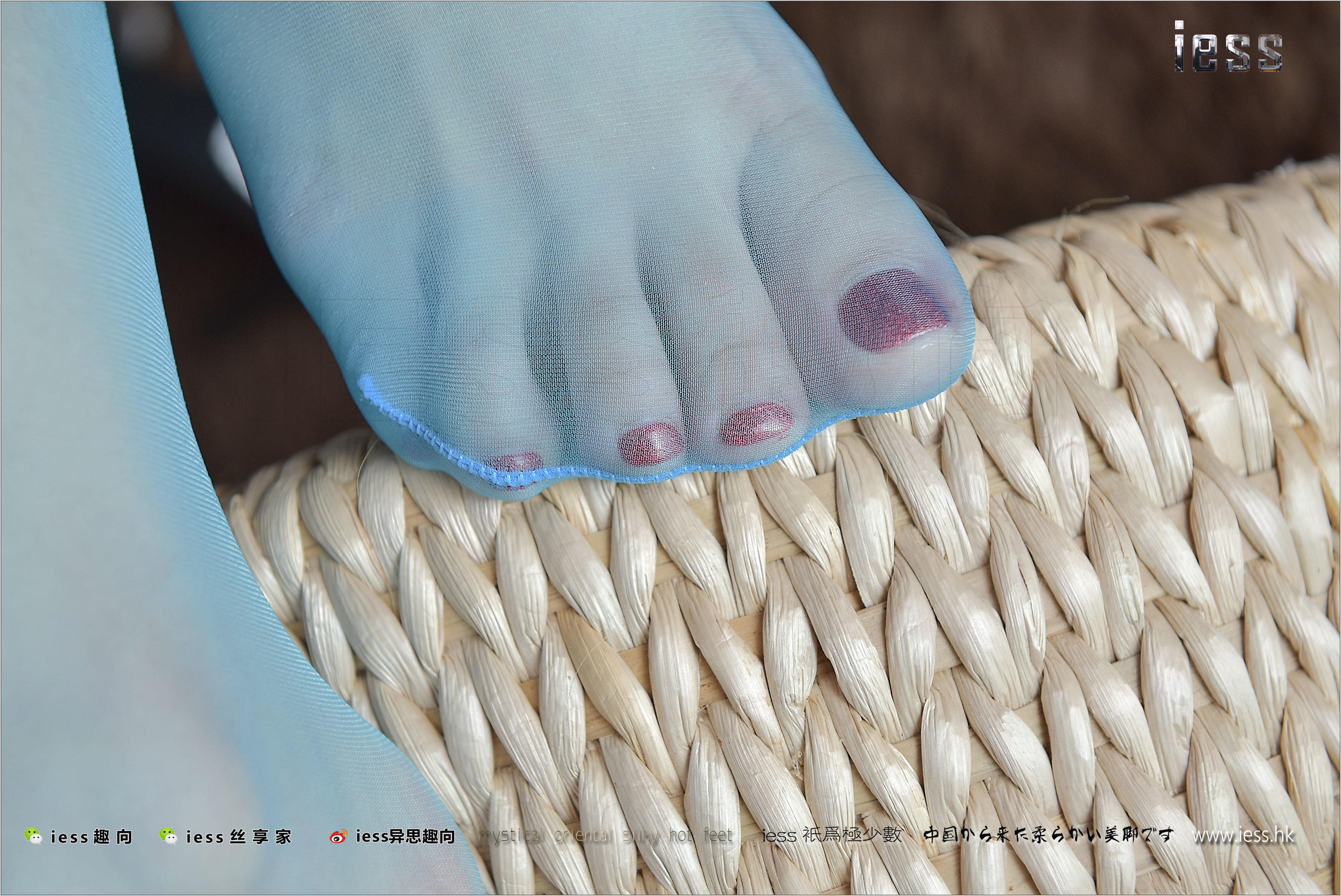 Silk Foot Bento 141 Shanshan Blue Taste IESS Thoughts and Fun