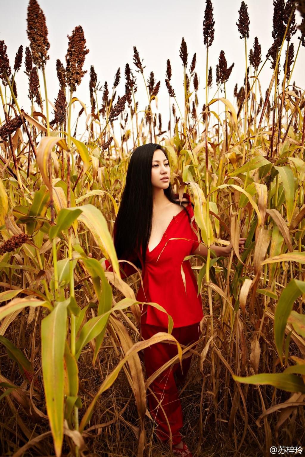 Su Ziling's Red Sorghum ultra -high -definition full version