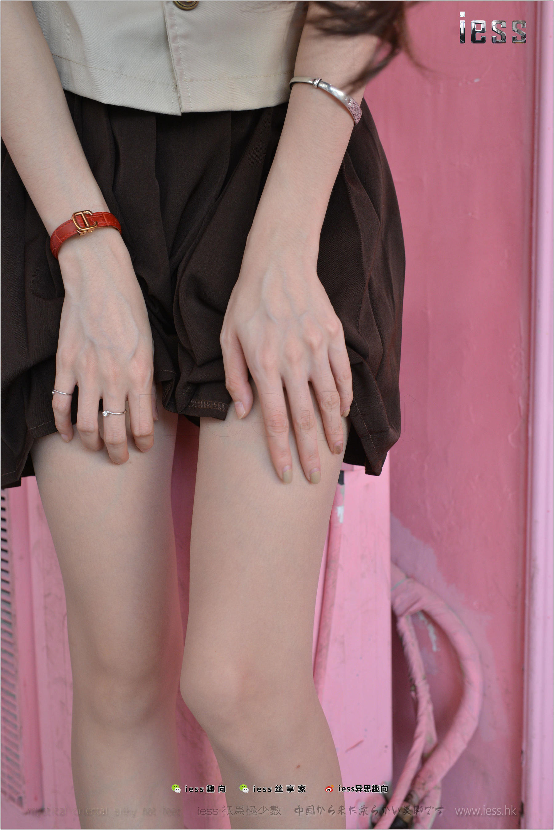 Silk Foot Bento 163 Jiajia Poetry and Far Board ②