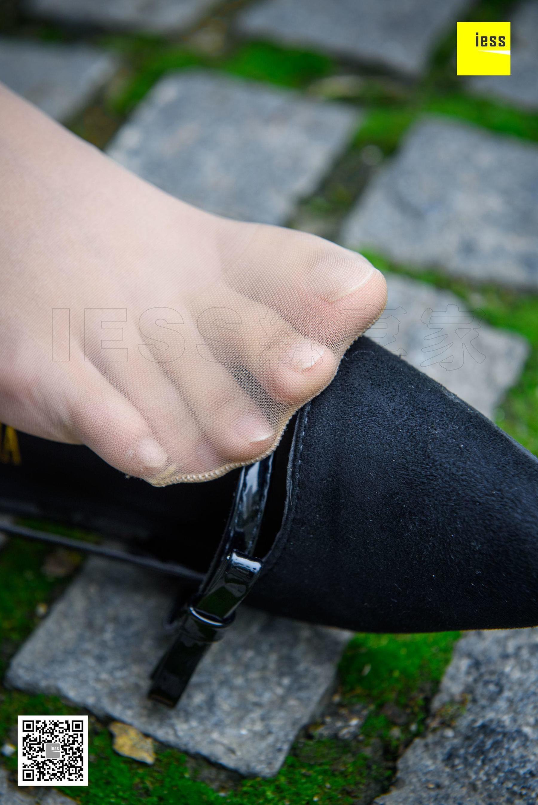 Wan Ping's Rose and Patriarchs Fun Thoughts to IESS Silk Enjoy Home 161