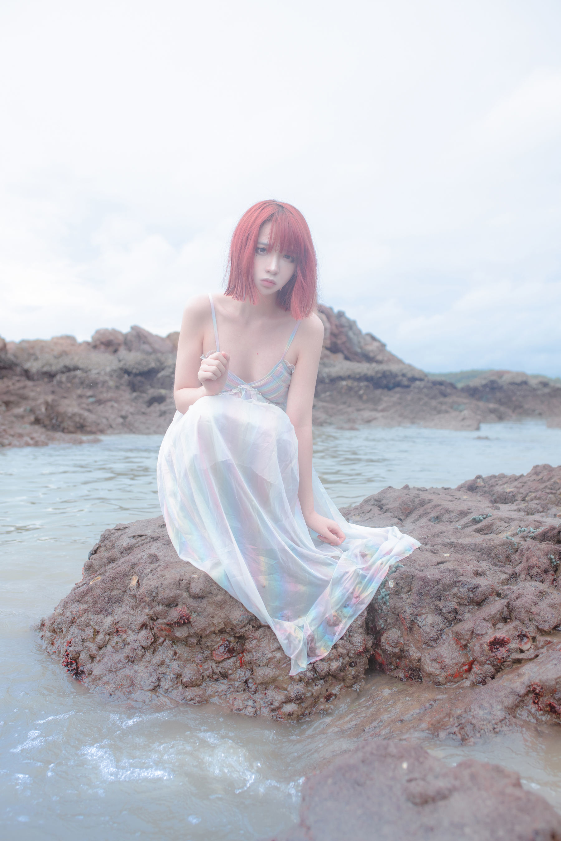 Net Red Coser Crazy Cat SS -Reef Mirror of Thinking