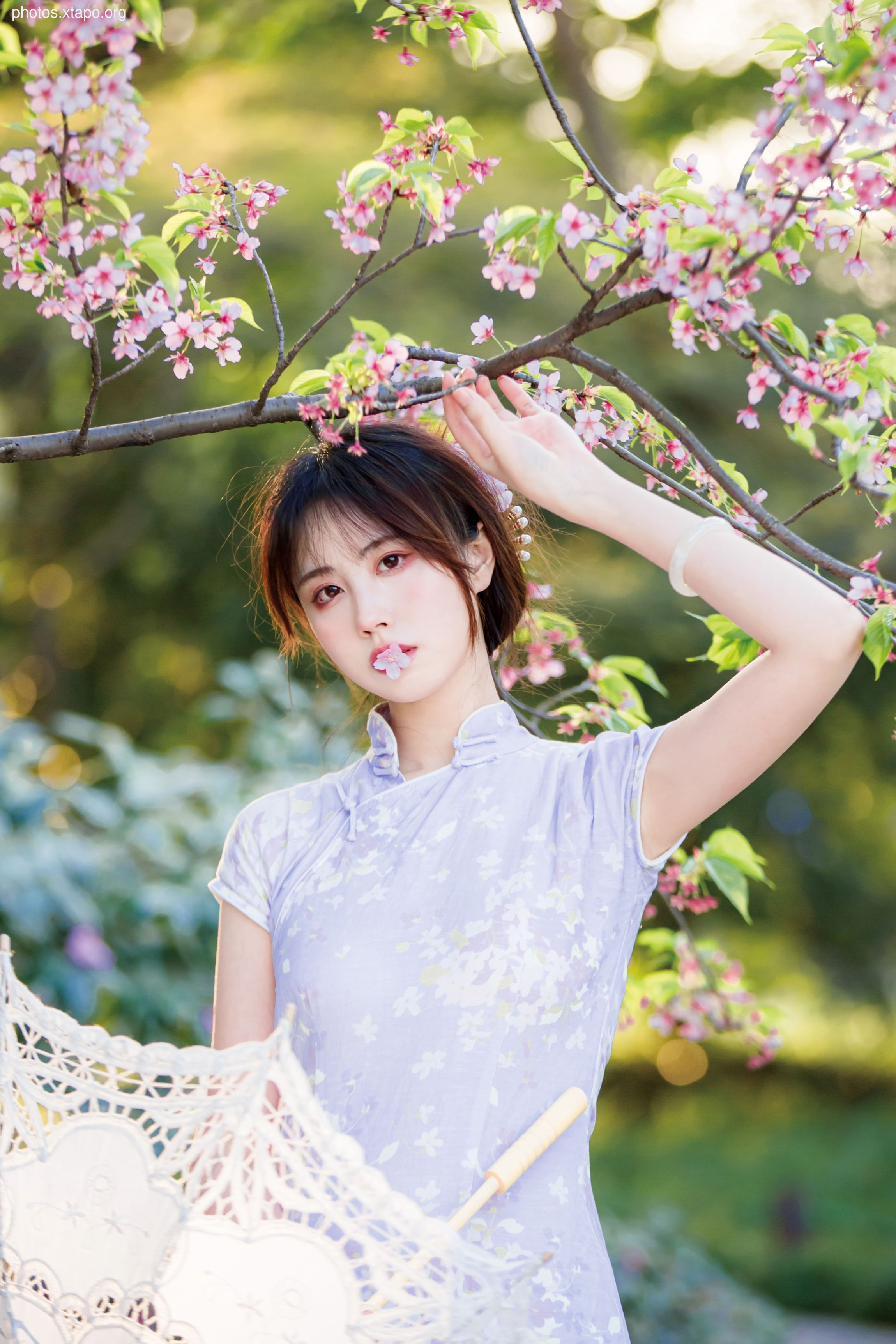 NO.026 Cheongsam 38P-377MB