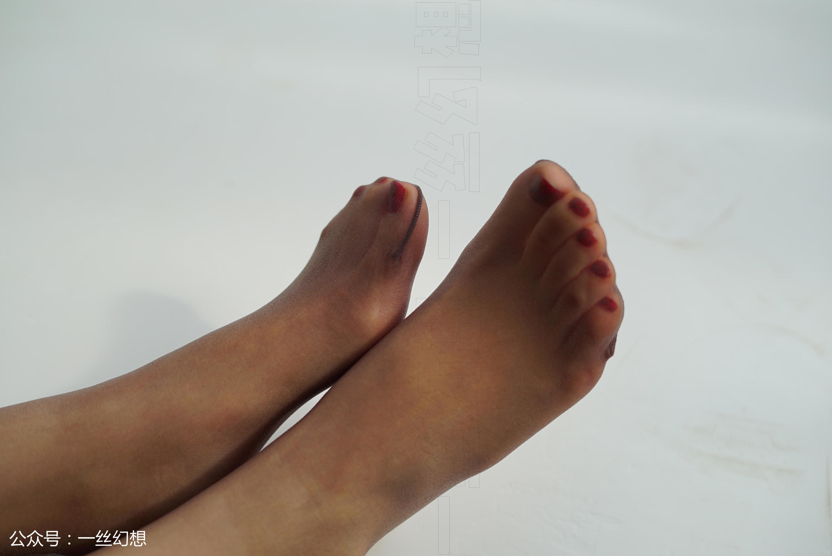 Takashi Women's Illustrations Socks Mono × A hint of fantasy NO.016 Sissi