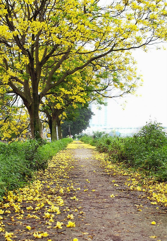 The road, between the pain The pain is just enough to miss each other, smile | Like ca