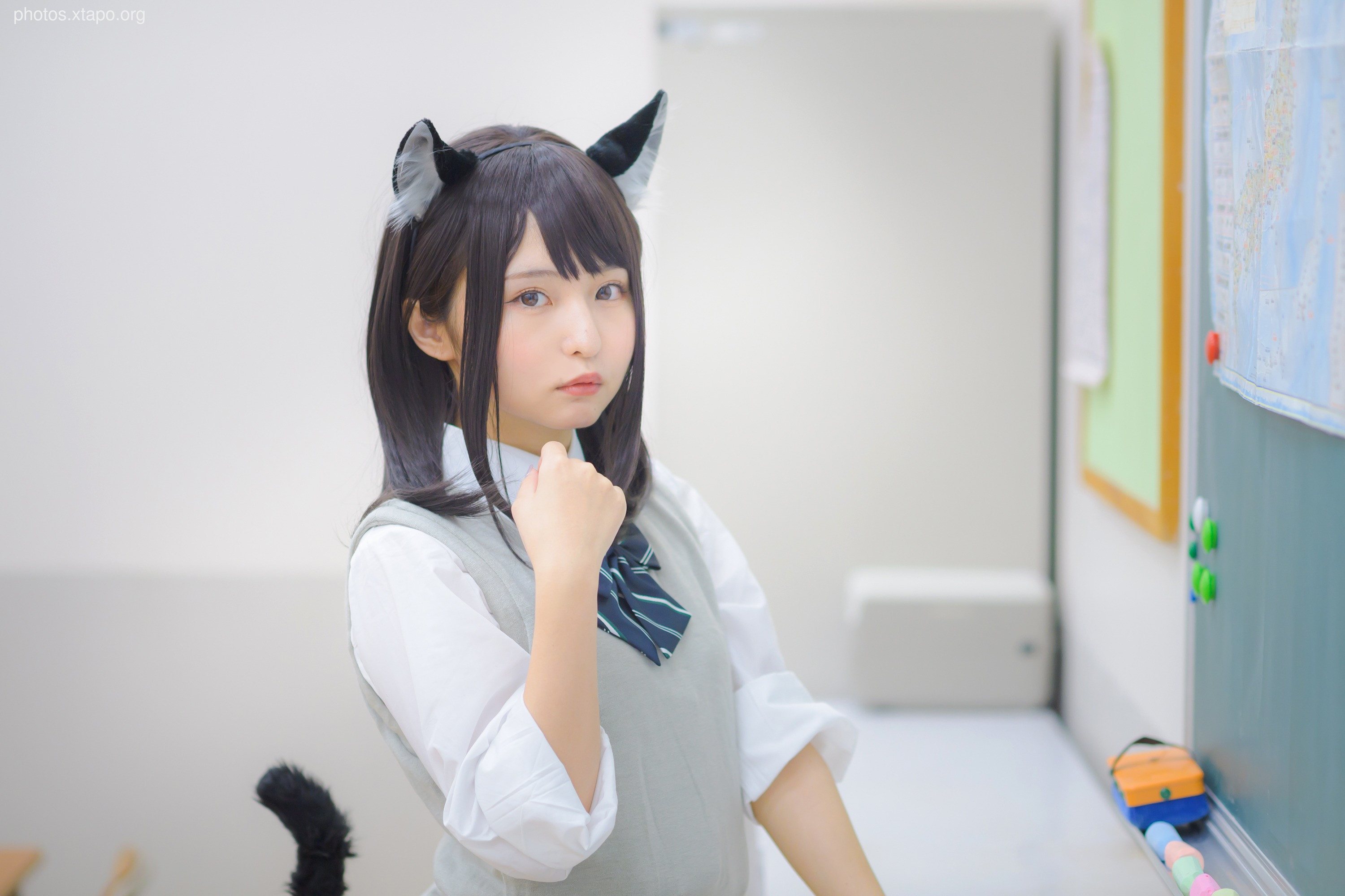 C96 Tofu Factory (Anni Tofu) mamefu Chaton