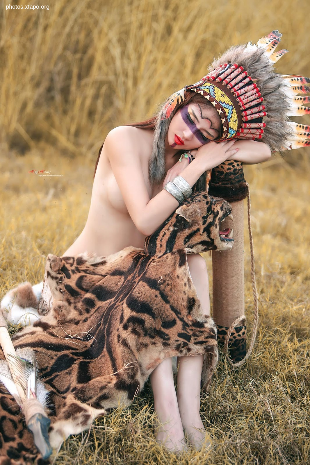 The Call of the Wild