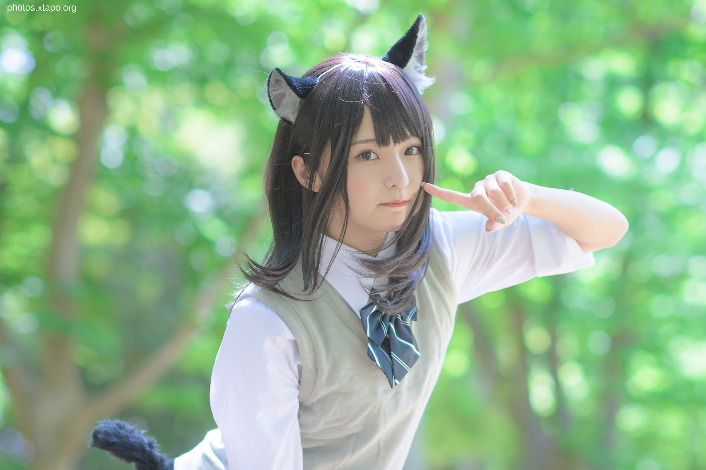 C96 Tofu Factory (Anni Tofu) mamefu Chaton