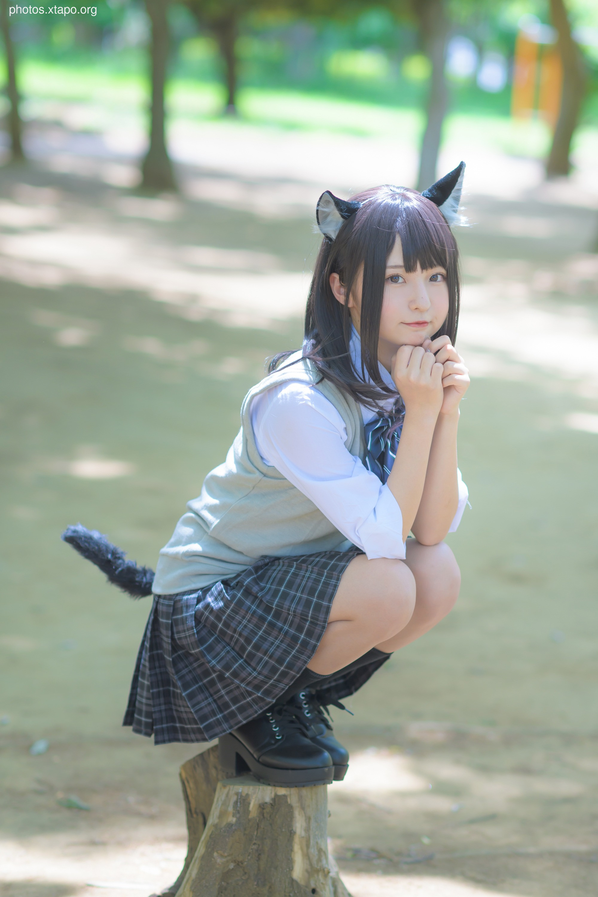 C96 Tofu Factory (Anni Tofu) mamefu Chaton