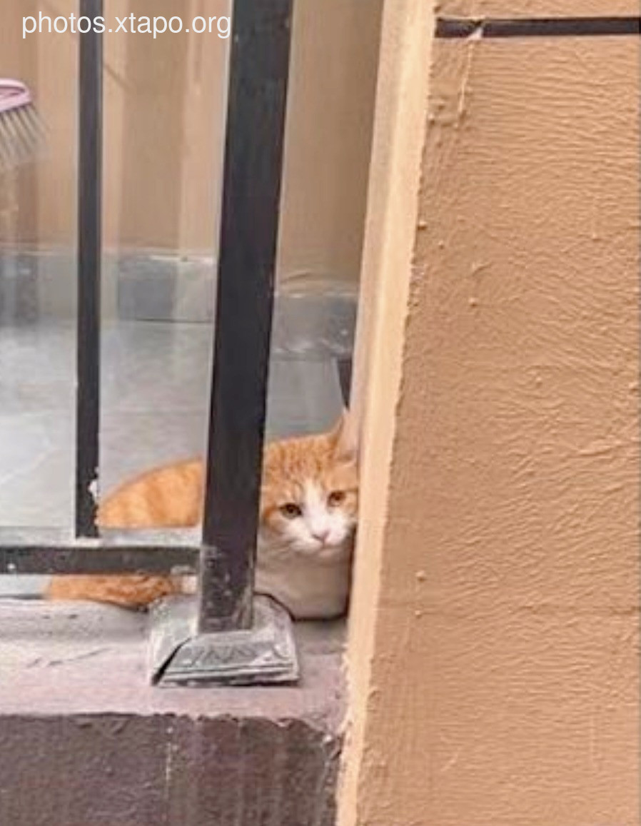 2022-09-14 front and back 🖤🖤 20P-30.49MB