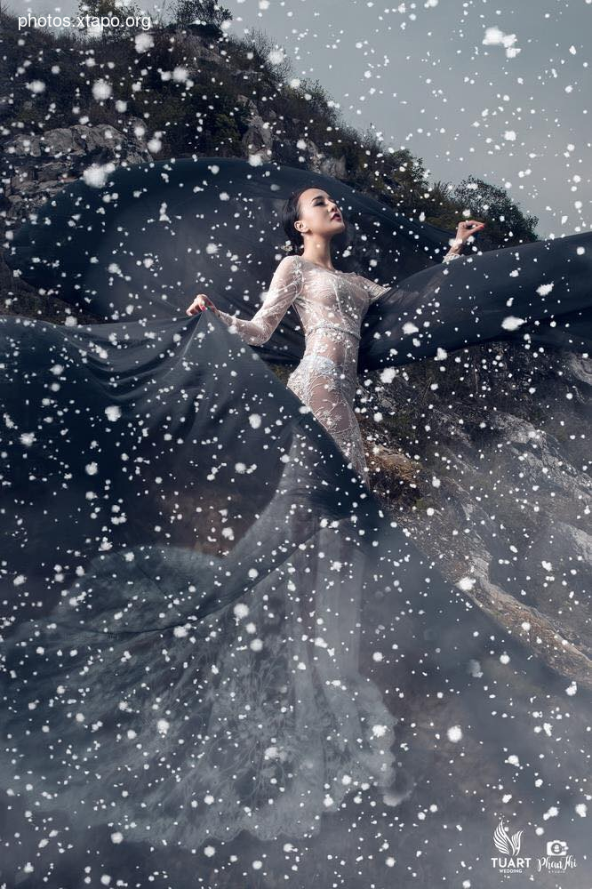 Tuyet Son Phi Ho, - Absolute Coc Coc V2 by Tuart