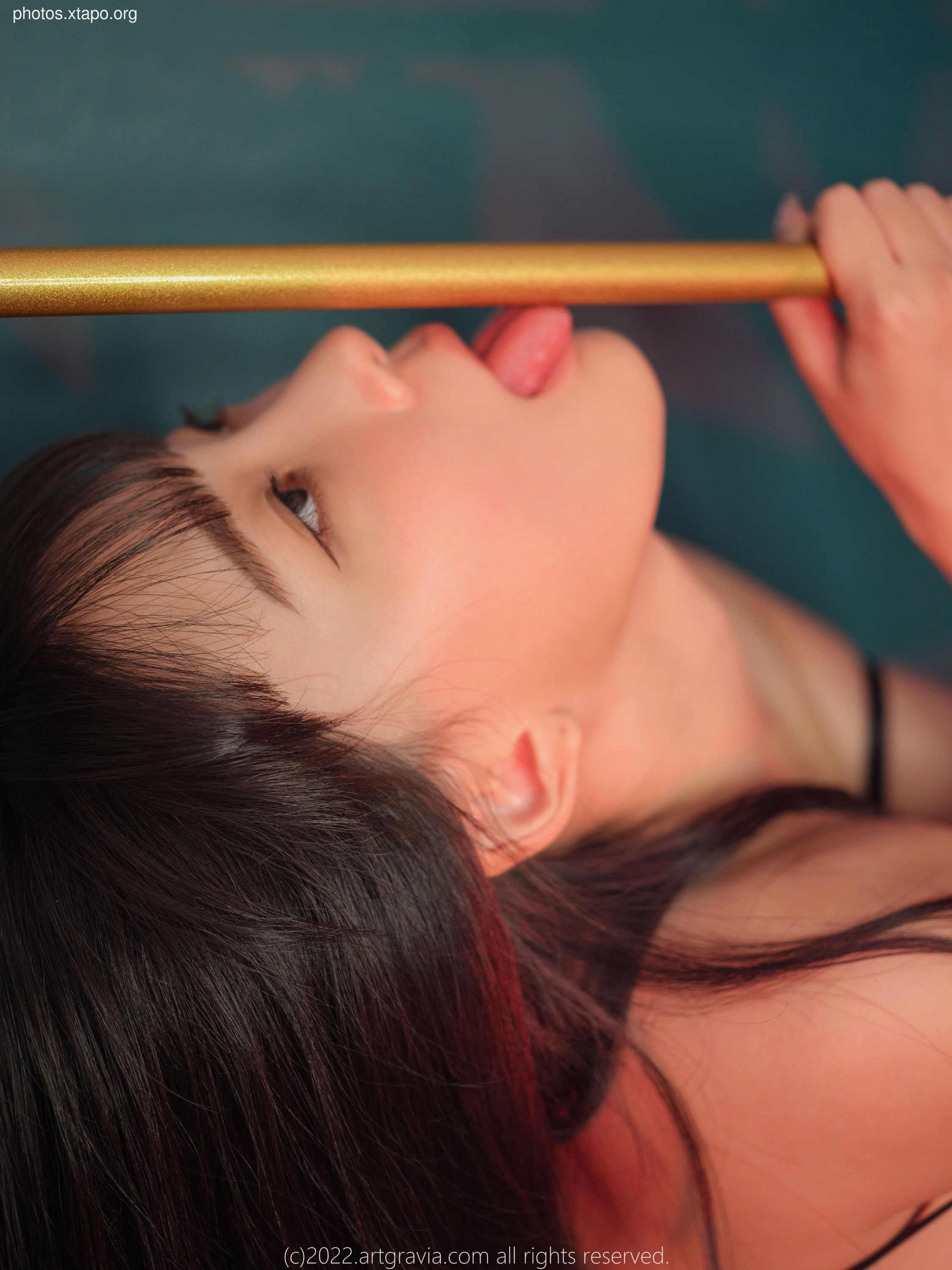 ARTGRAVIA_VOL43494P-219MB