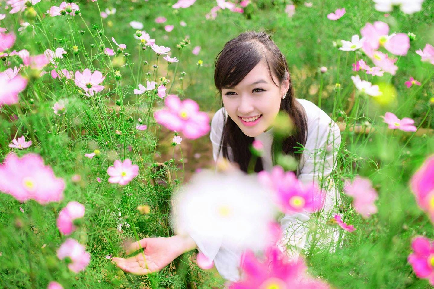 Dang Pham Phuong Chi,