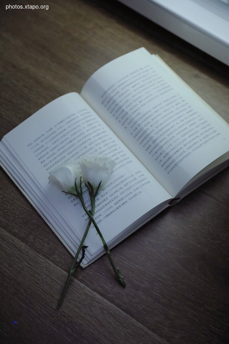 Manh kỳ k琦 琦 Qiqi M77