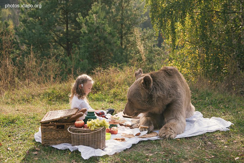 Russia nature, forest and animals by Olga Barantseva