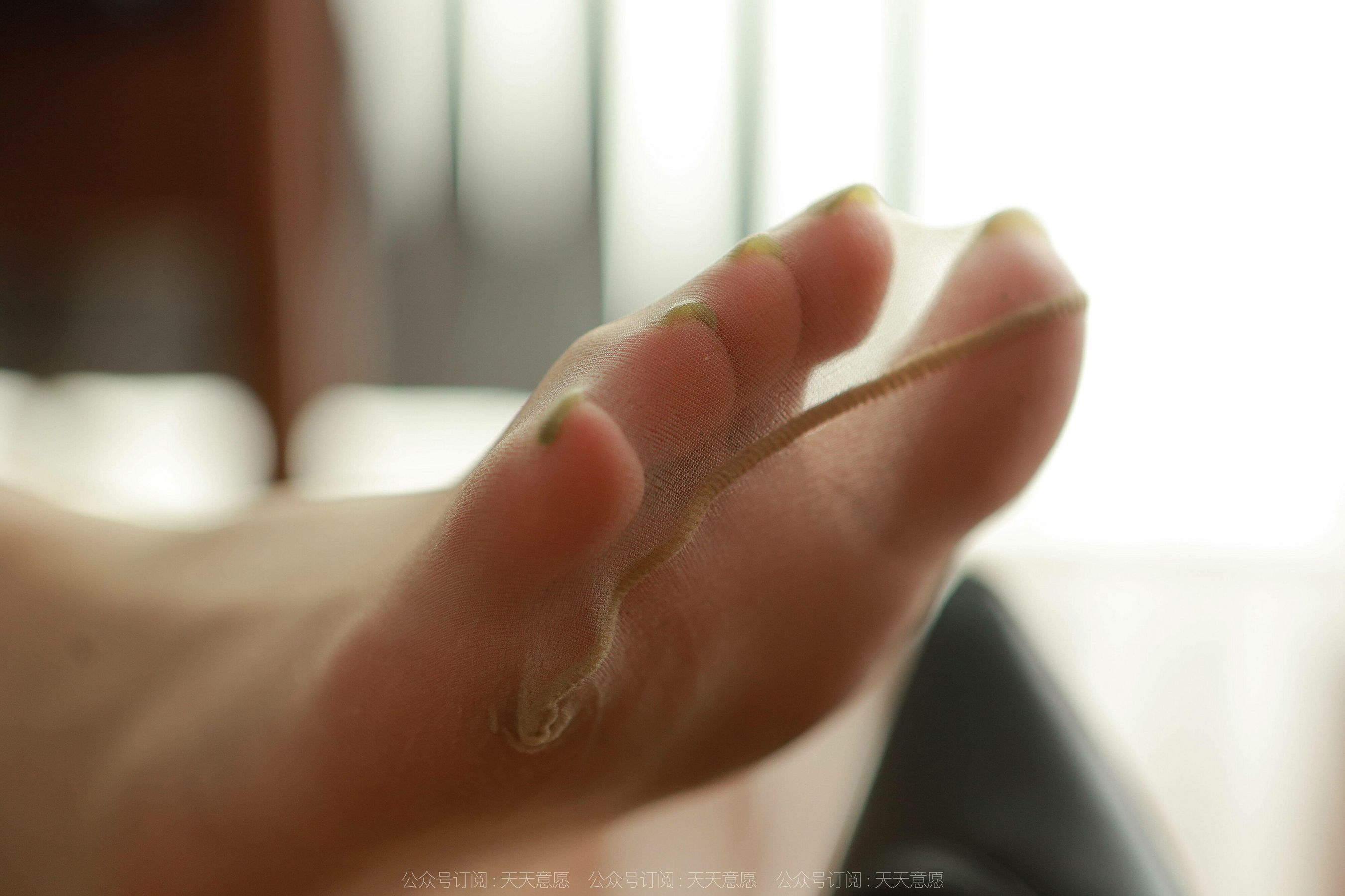 Different Thoughts to IESS Model Shanshan Perfect Secretary