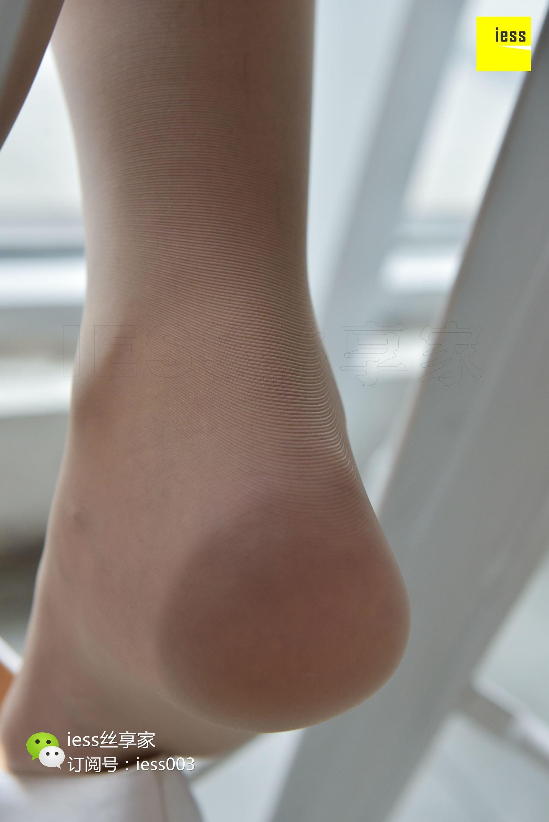 Silkxiang Home 090 Wenxin The Pork Beauty in the Window IESS Thoughts and Fun