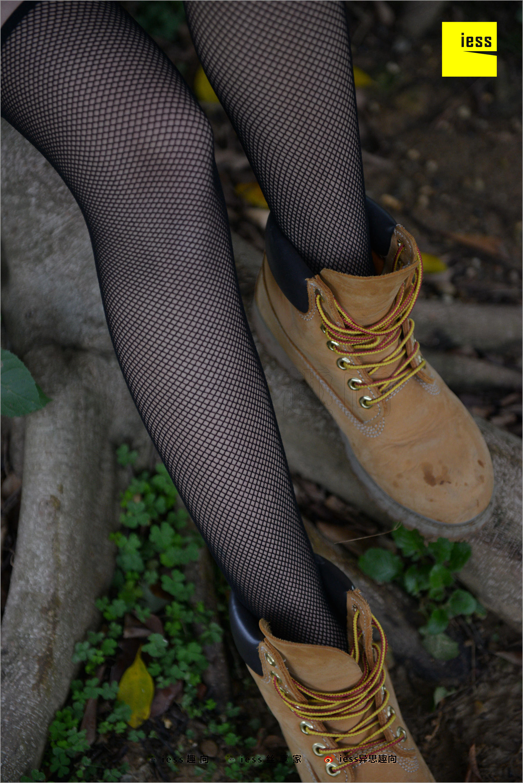 Xiaoxiao's Eye Socks that goes astray Different Thoughts to IESS Silk Foot Bento 233