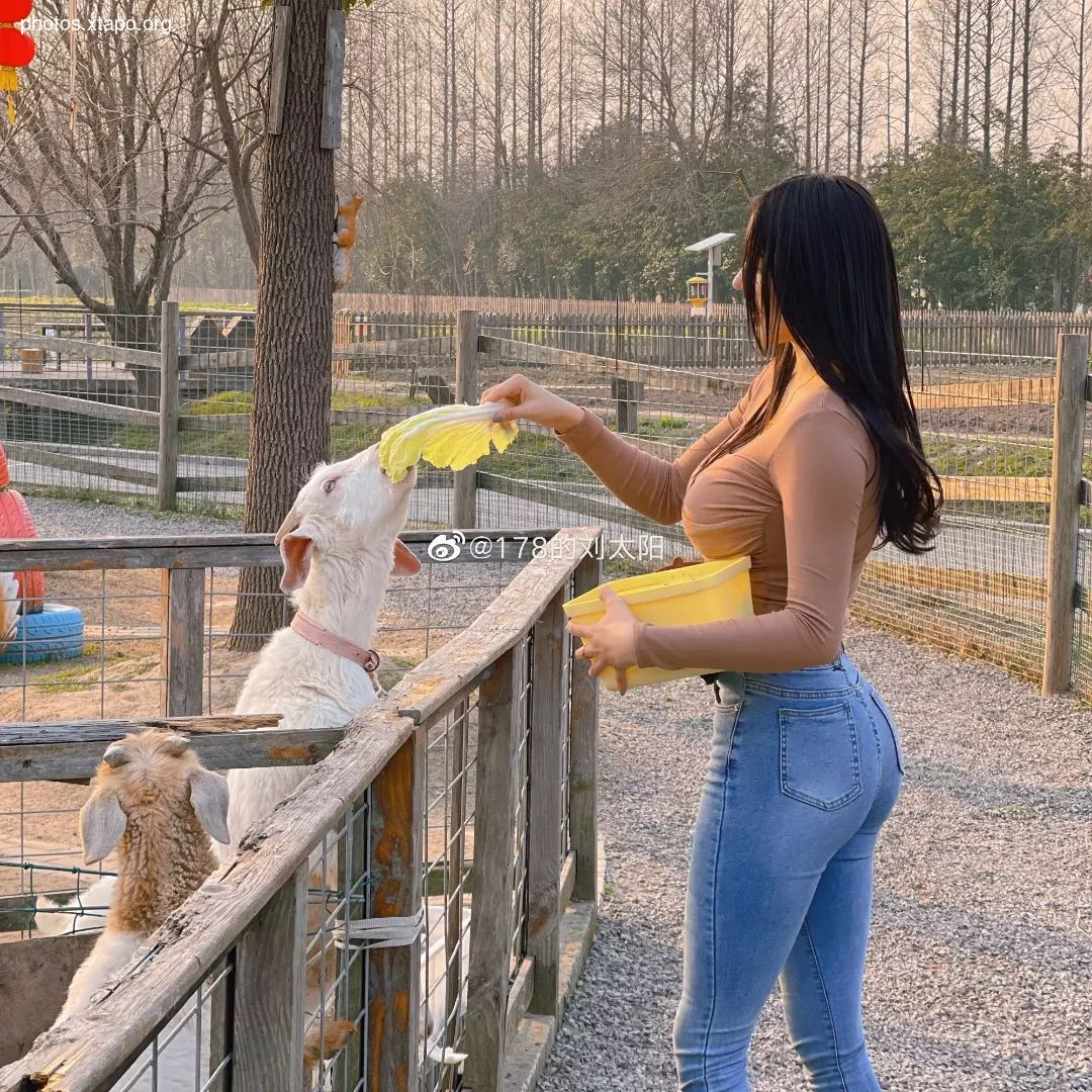 Liu tai yang Liu Taiyang,