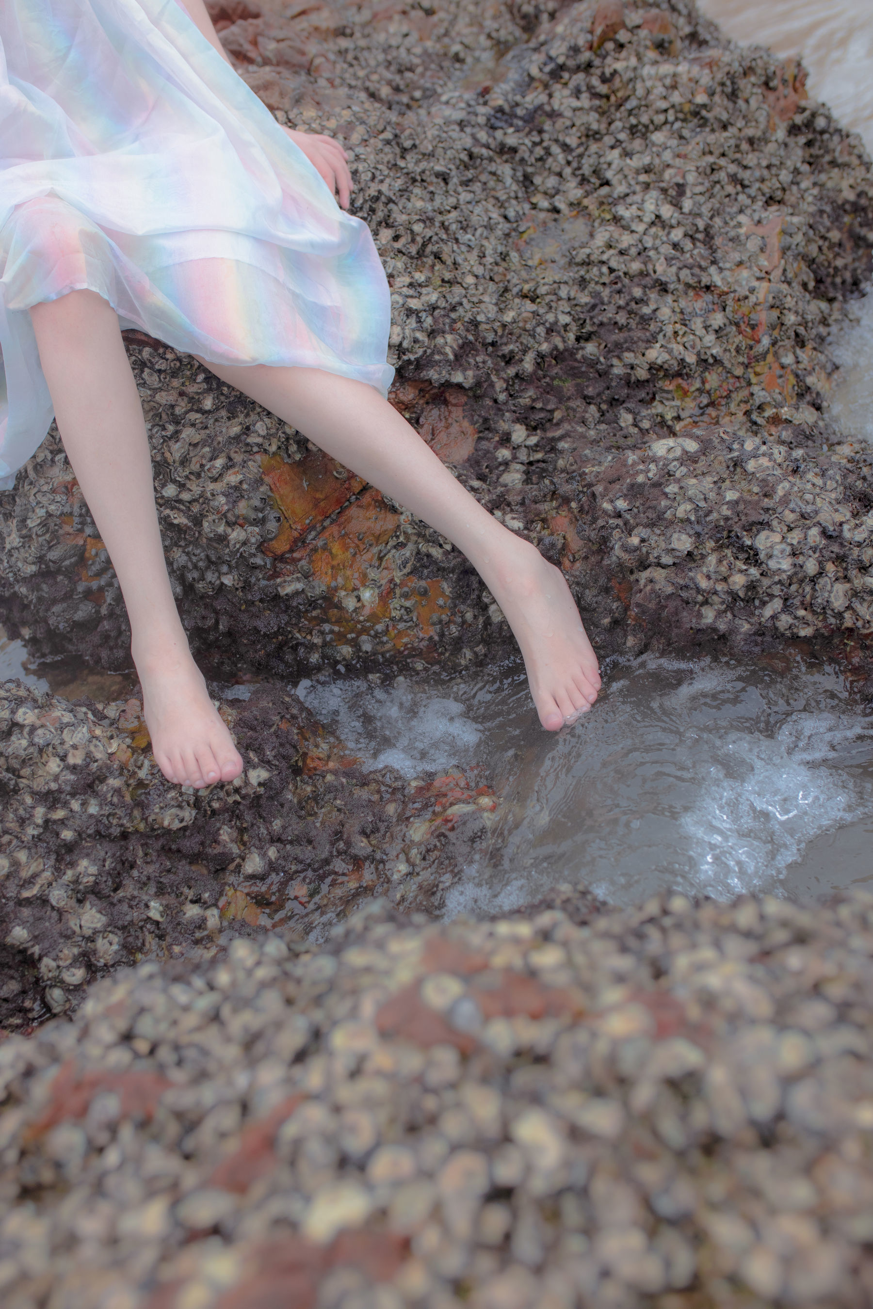 Net Red Coser Crazy Cat SS -Reef Mirror of Thinking