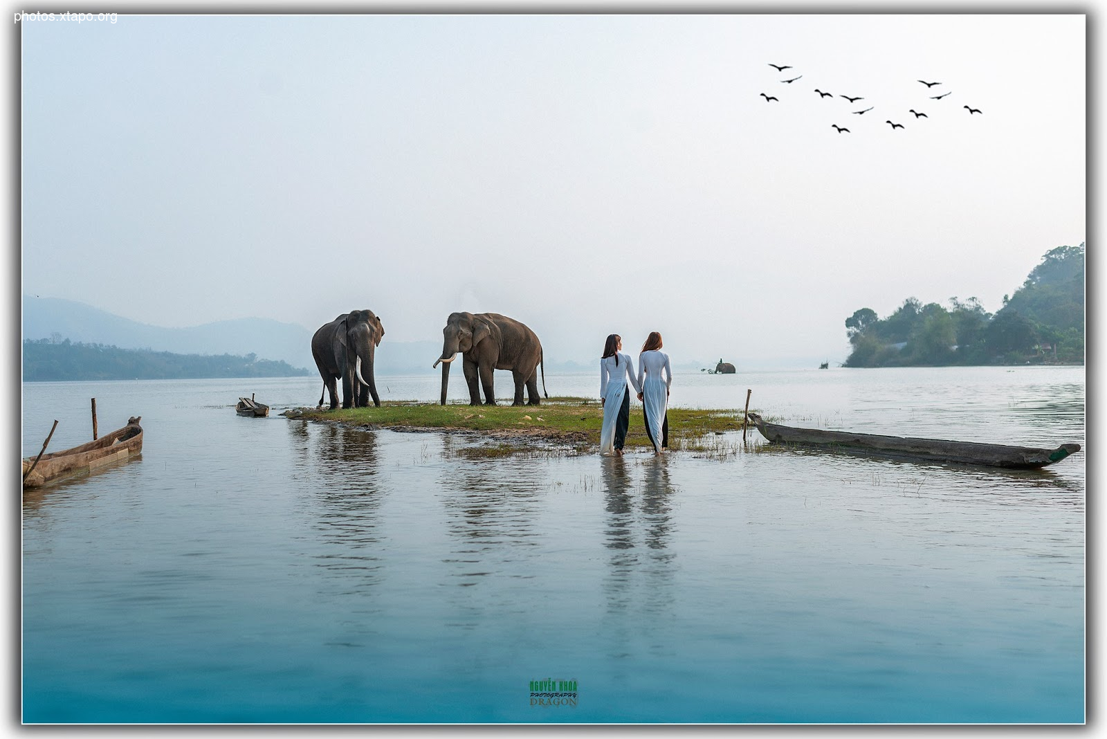 Thao Chi vs Kim Phung,