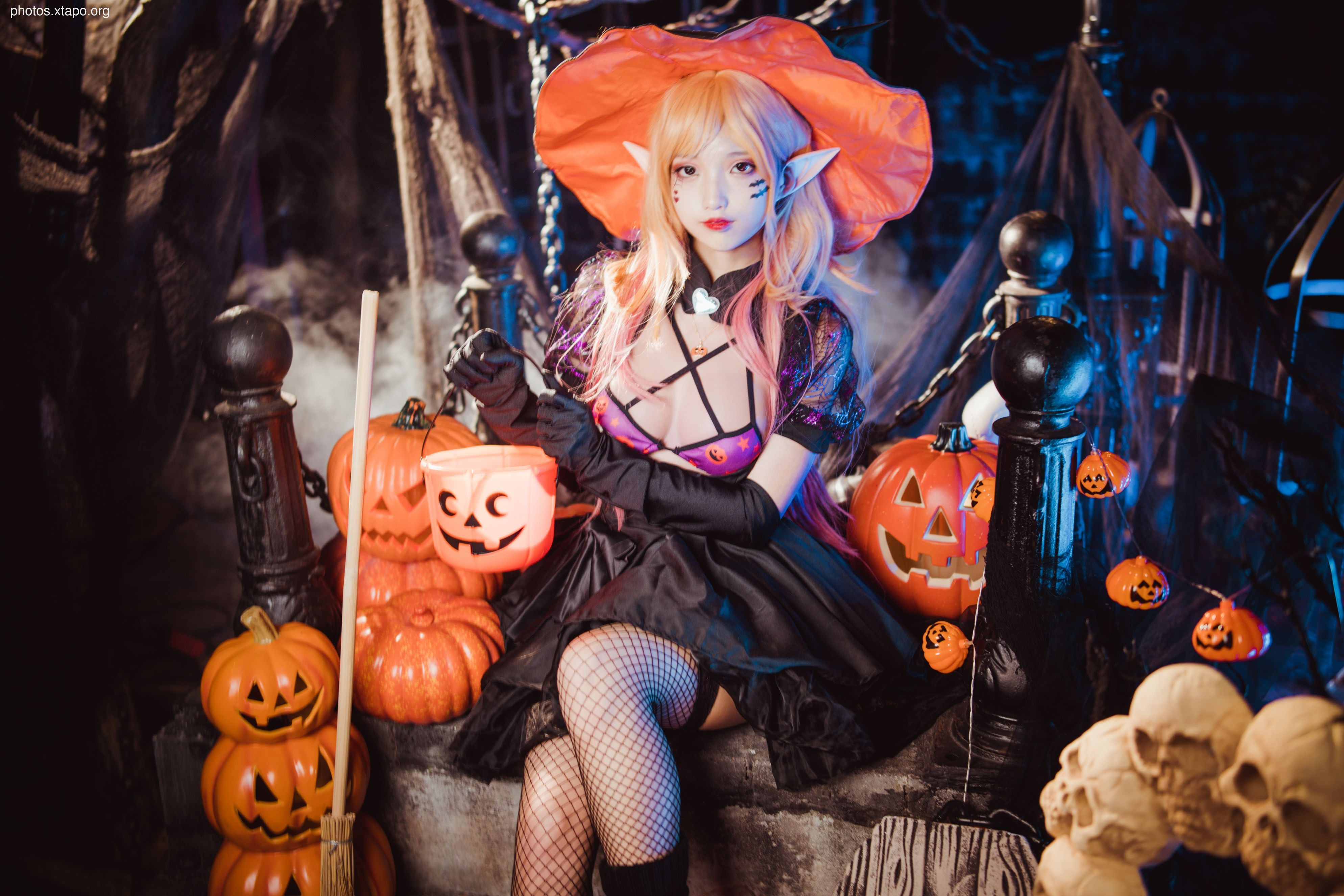 Fox 狐 狐 Halloween