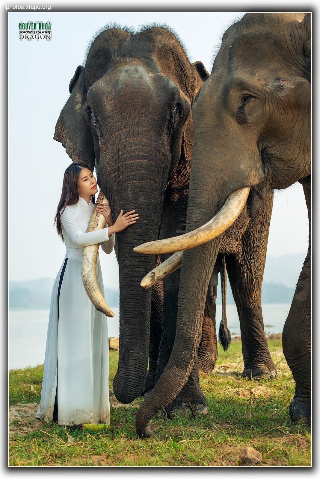 Thao Chi vs Kim Phung,