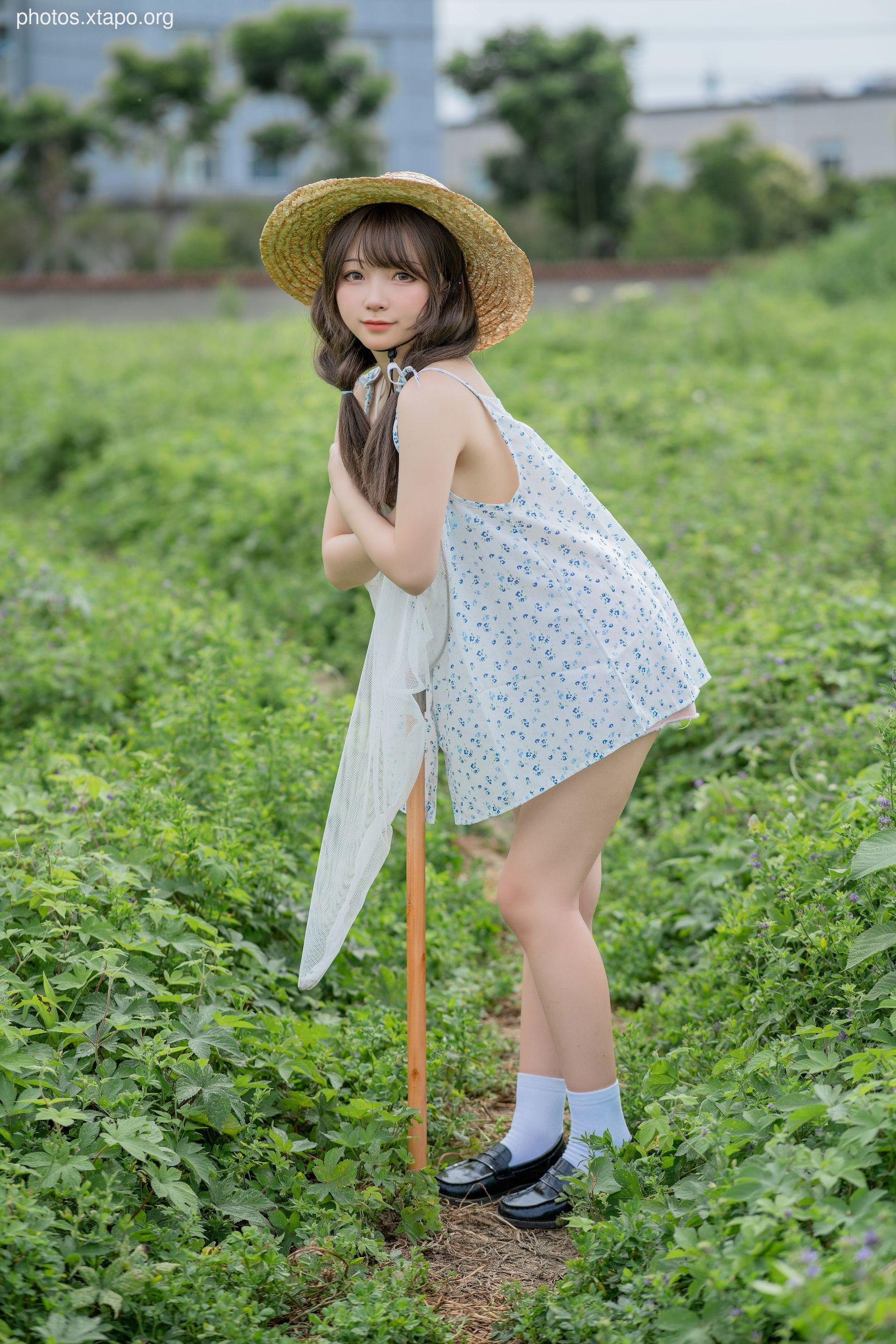 Flower Bellfield (39P425MB)