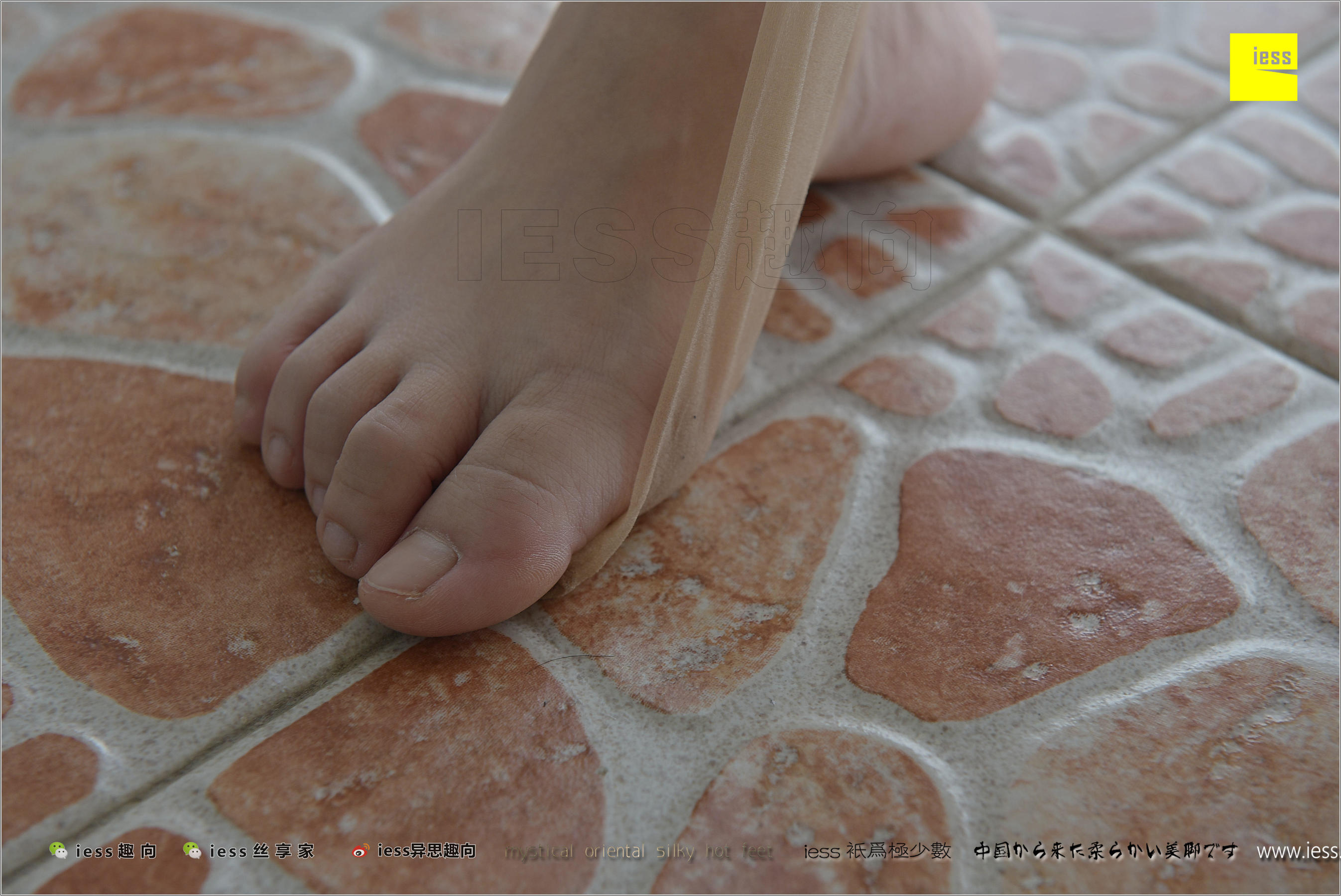 184 Zhang Foot Bento Zhang Xinyue's Contentive Frequency Music IESS Thoughts and Interesting