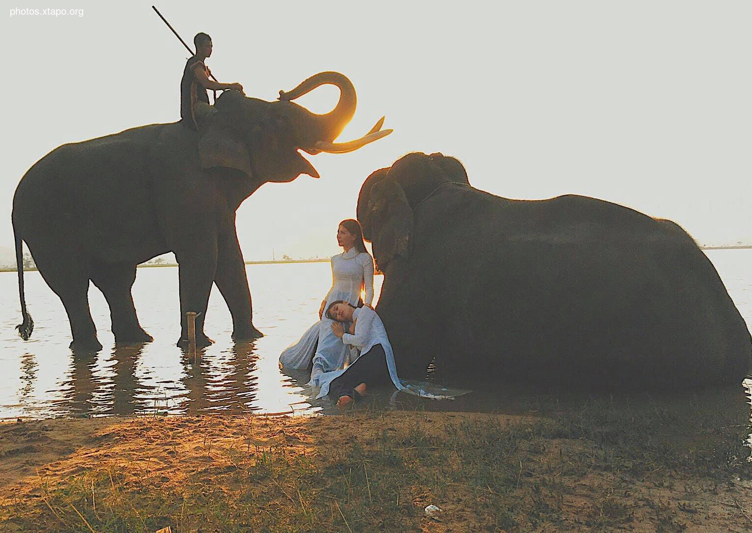 Thao Chi vs Kim Phung,