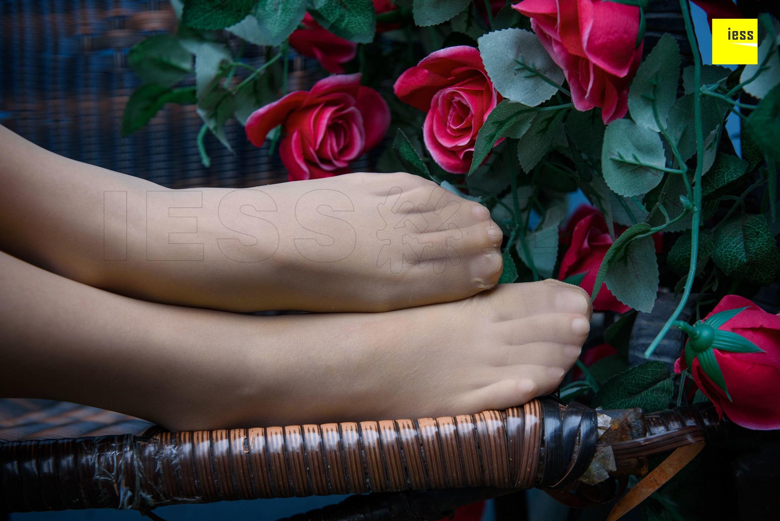 Wan Ping's Rose and Patriarchs Fun Thoughts to IESS Silk Enjoy Home 161