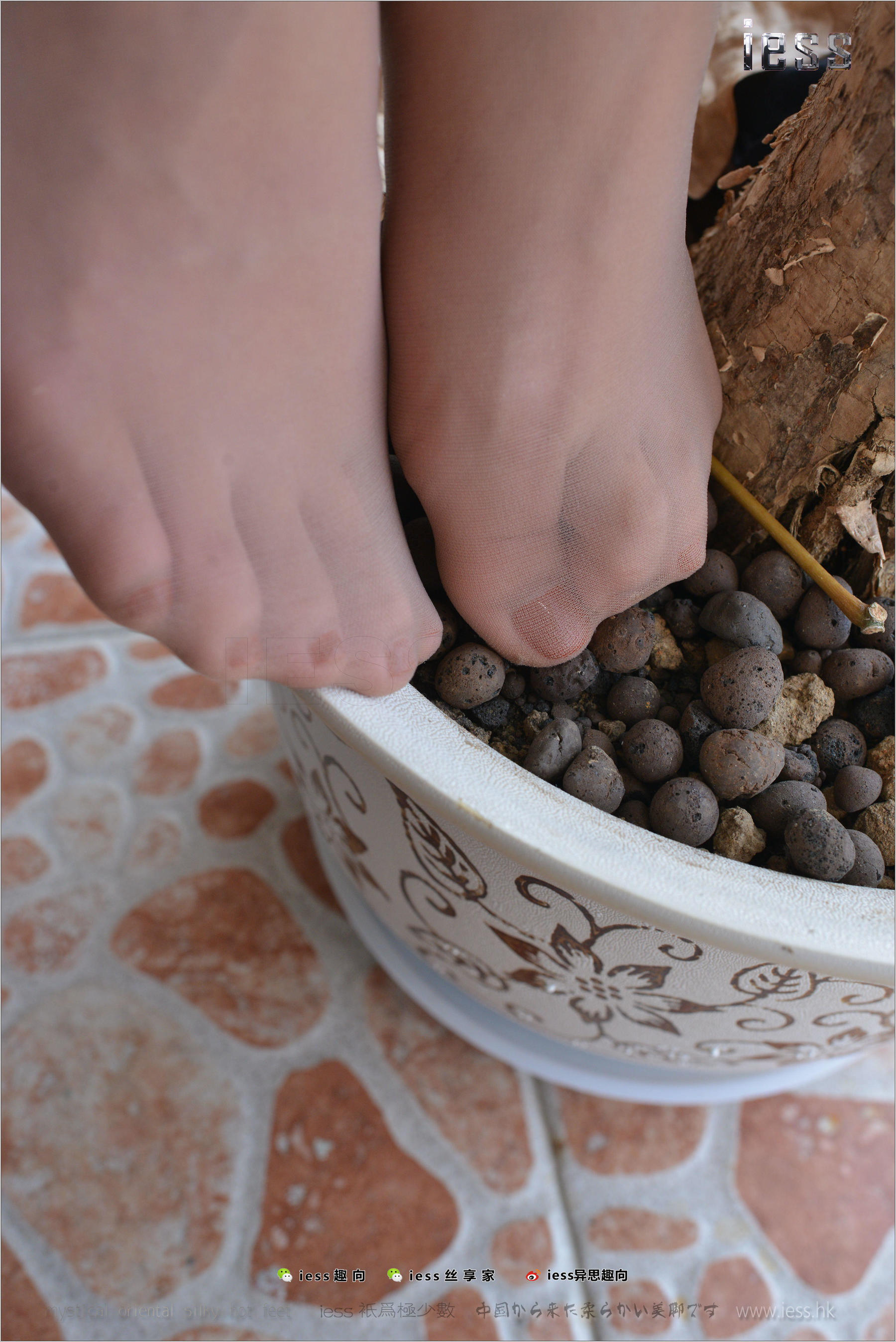 Silk Foot Bento 165 cousin Boss's Far Housing Sister IESS Thoughts Funbian