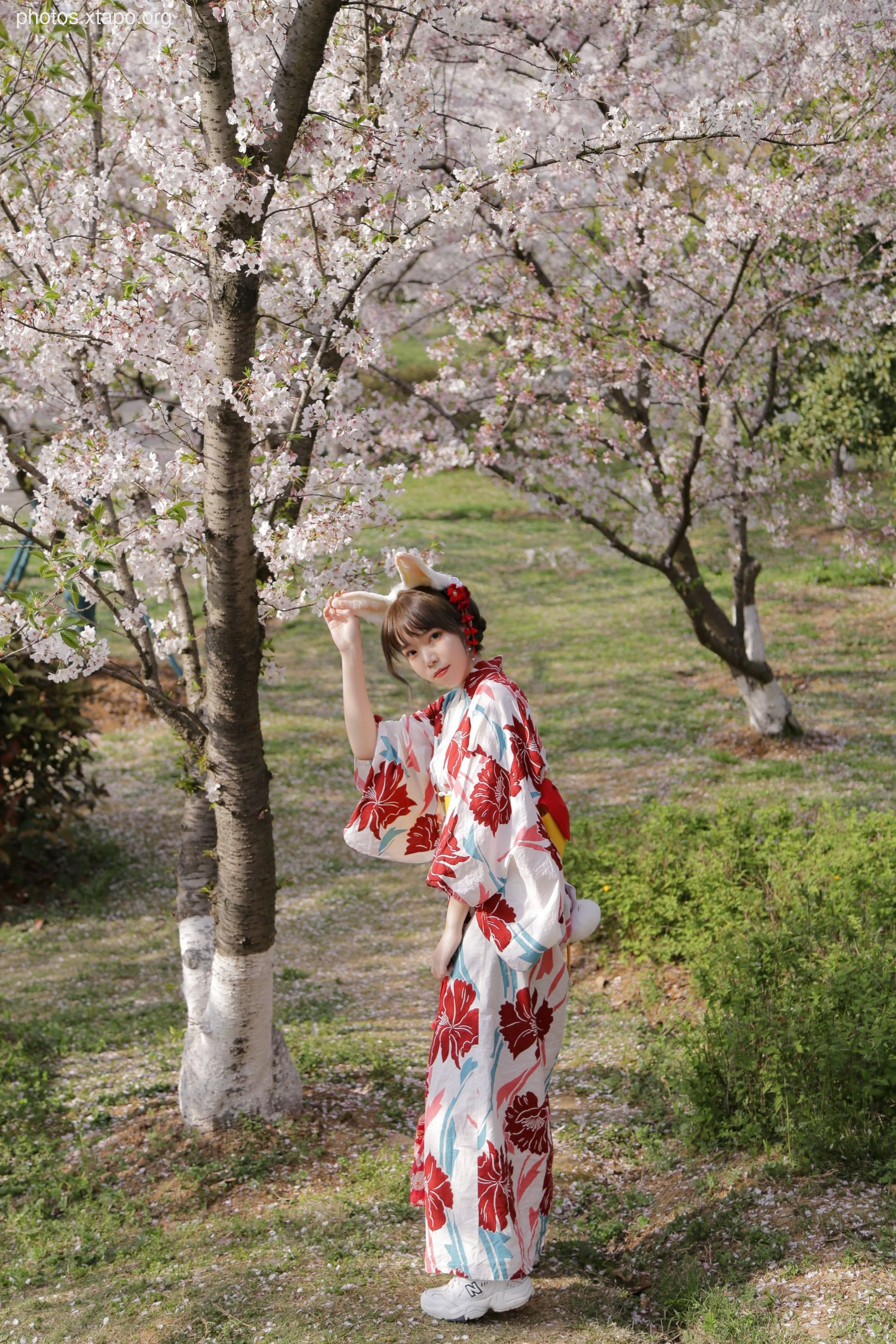 NO.017 Sakura Rabbit