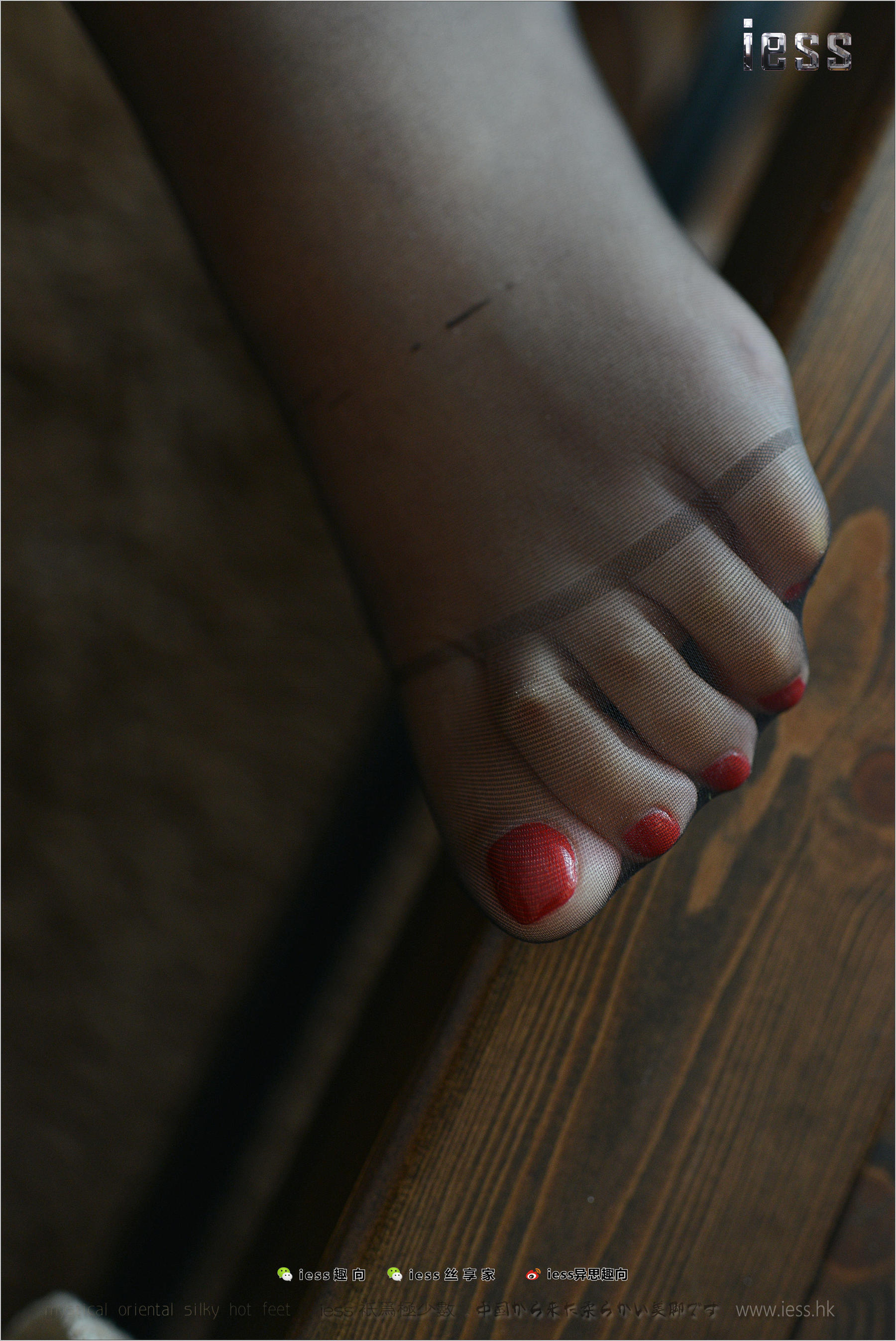 Silk Foot Bento 162 Fangfang's Wife's Black Foot IESS Thinking Funbian