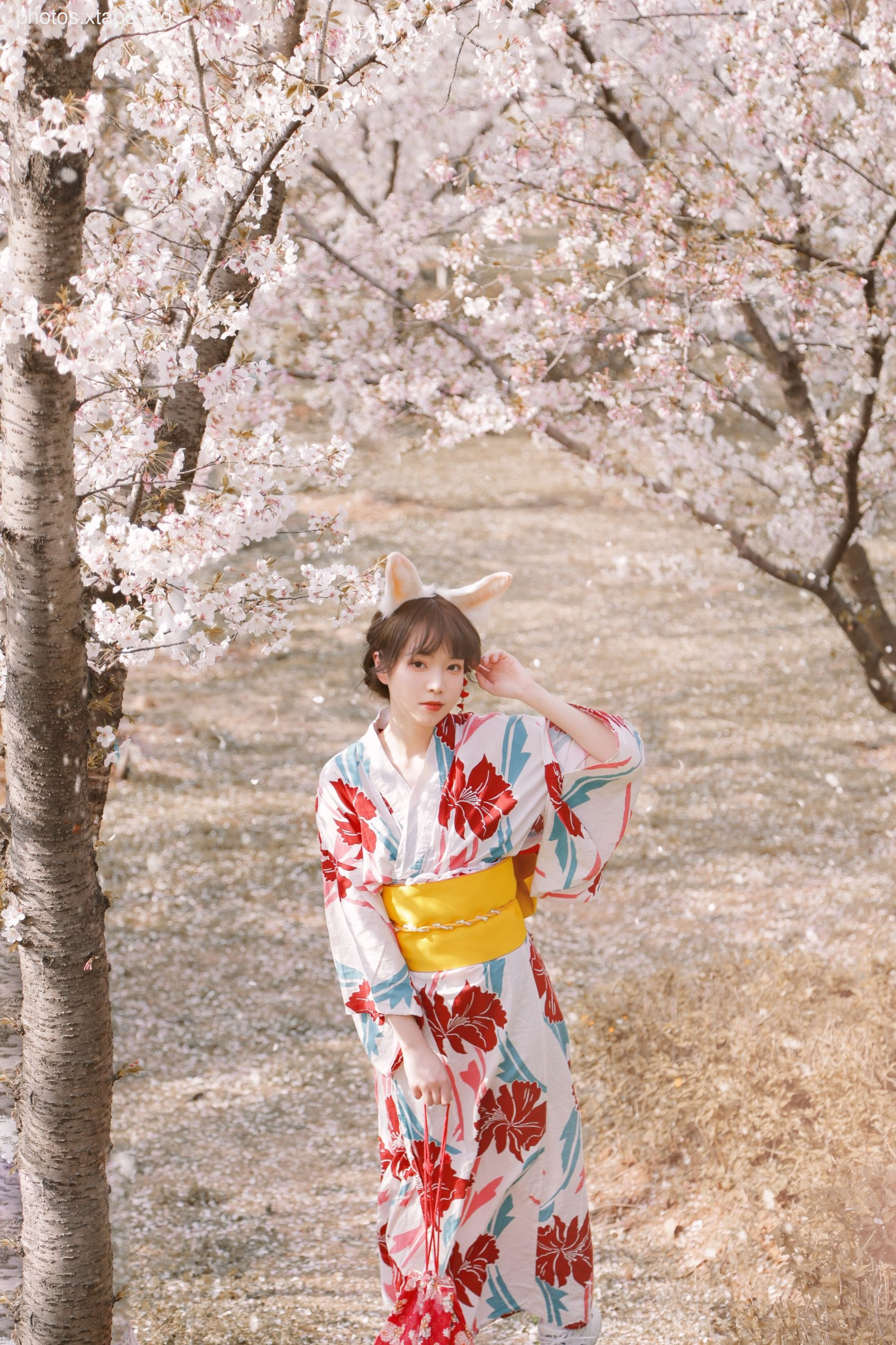 NO.017 Sakura Rabbit