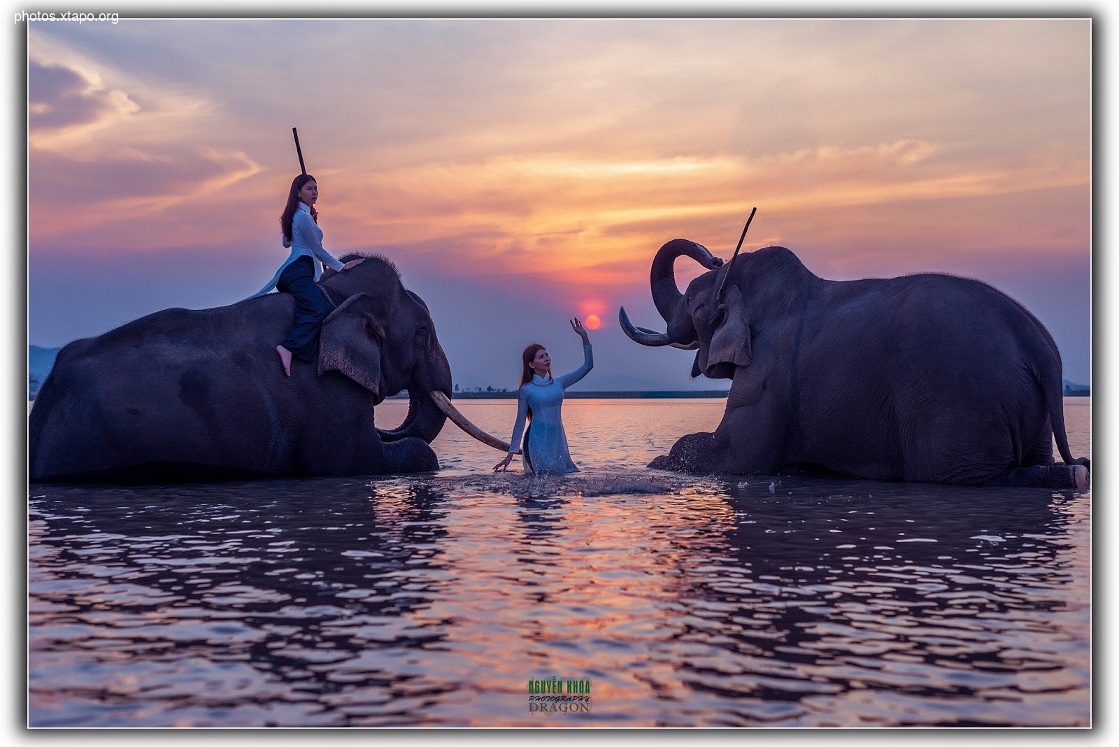 Thao Chi vs Kim Phung,