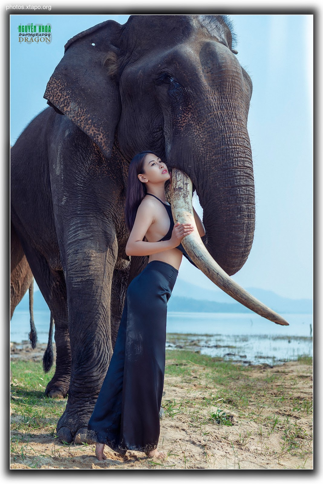 Thao Chi vs Kim Phung,