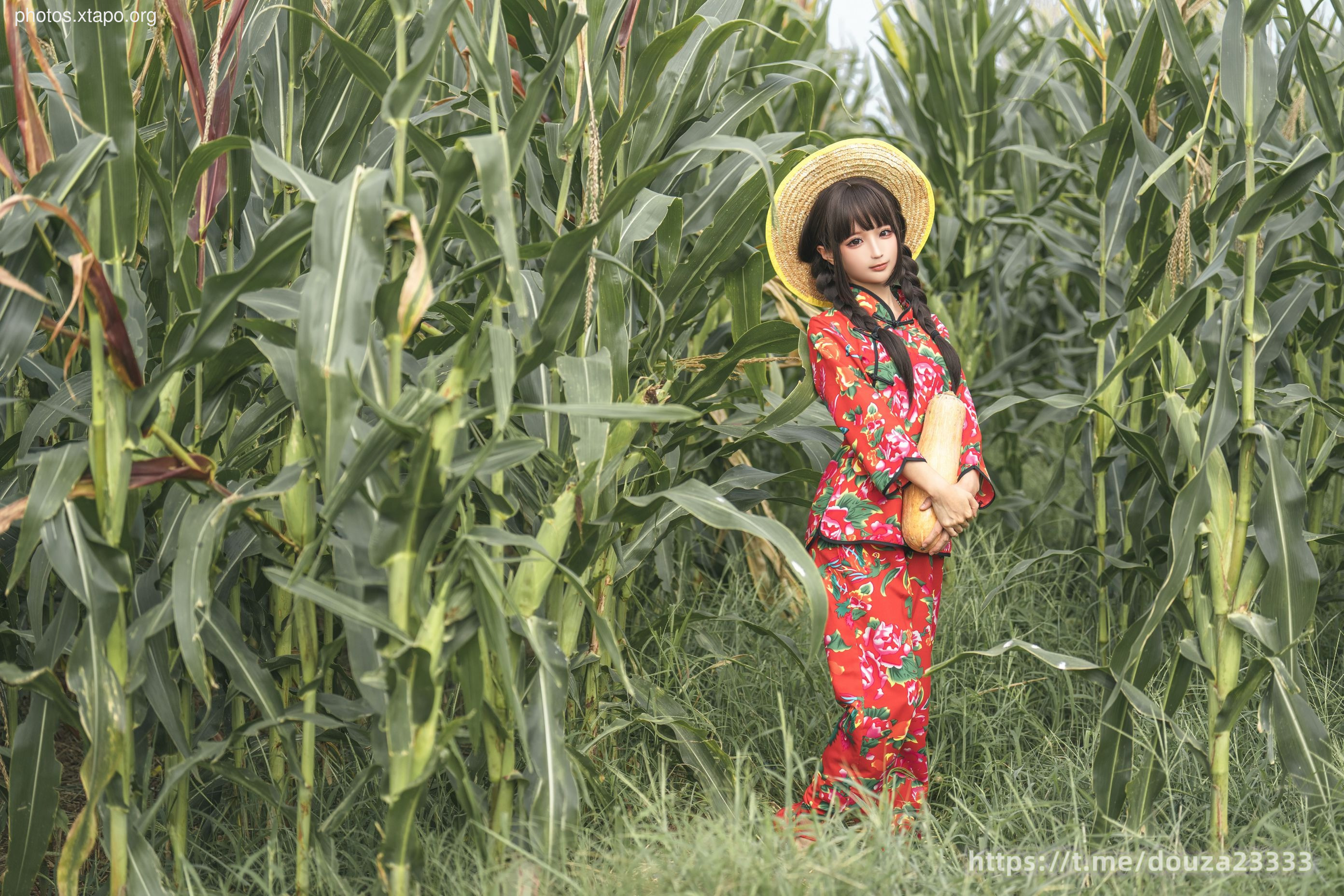 Story of Stupid Momo Rice Land (September 11th Member Resources)