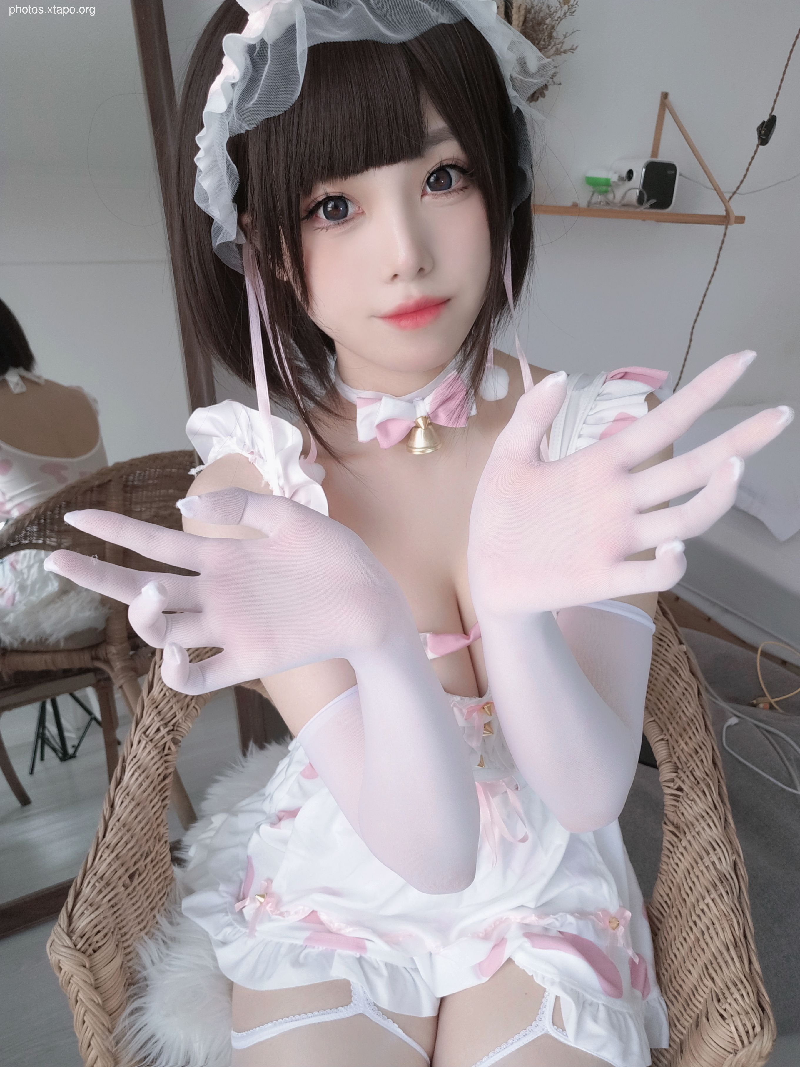 Honey juice cats, dairy cow and rabbit virgin