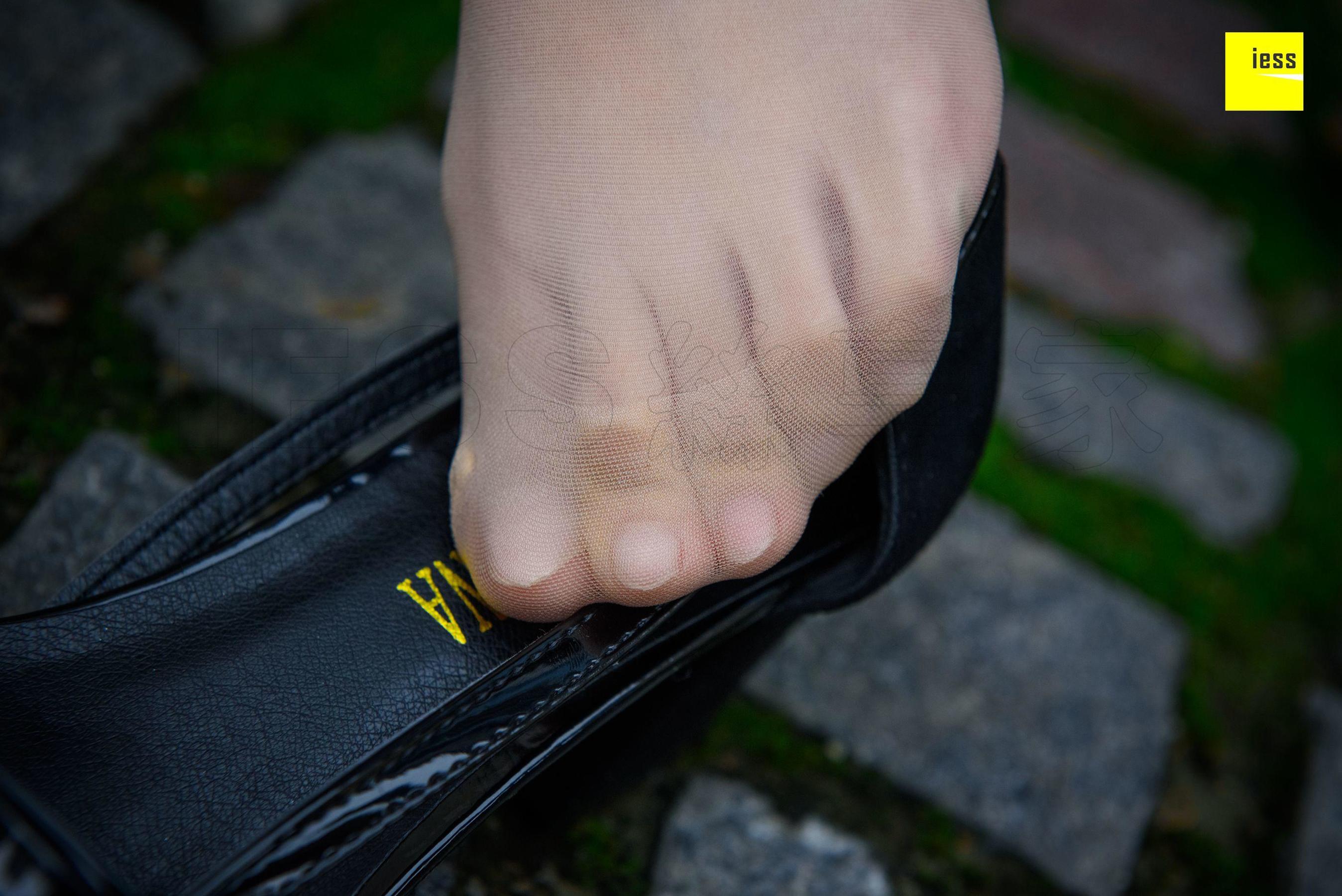 Wan Ping's Rose and Patriarchs Fun Thoughts to IESS Silk Enjoy Home 161