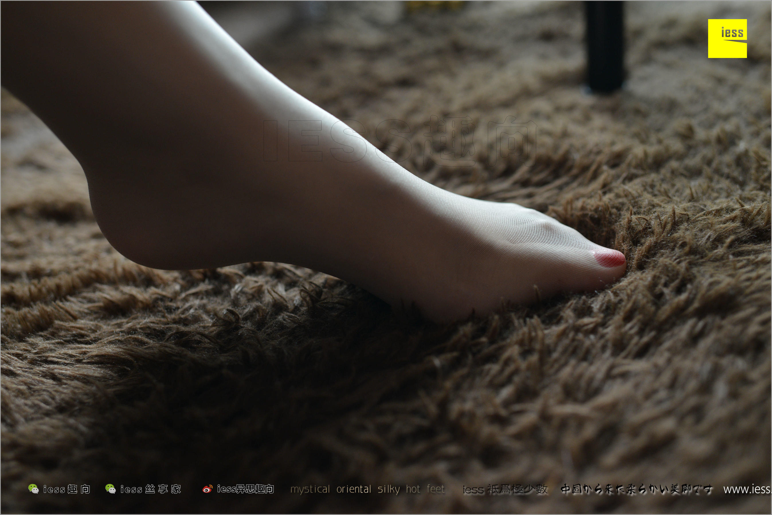 Wife Fangfang The Miss of the Wife of Beautiful Football Different Thoughts to IESS Silk Foot Bento 201