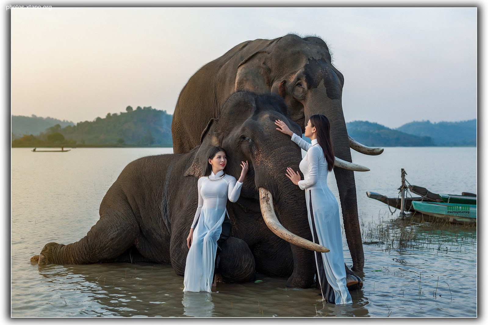 Thao Chi vs Kim Phung,