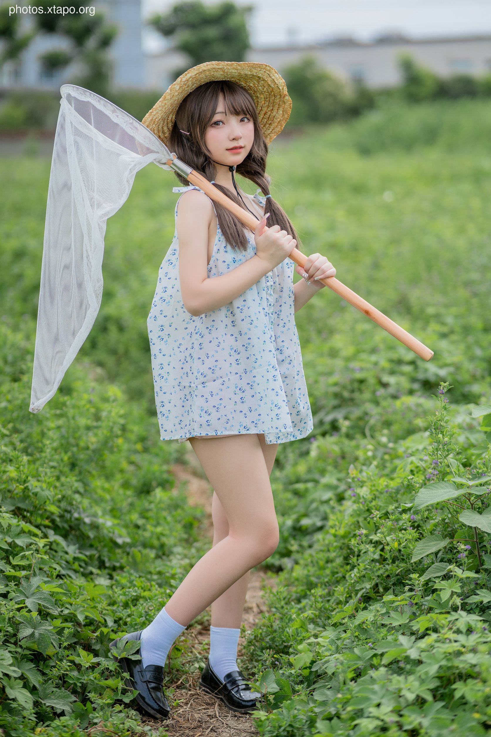 Flower Bellfield (39P425MB)