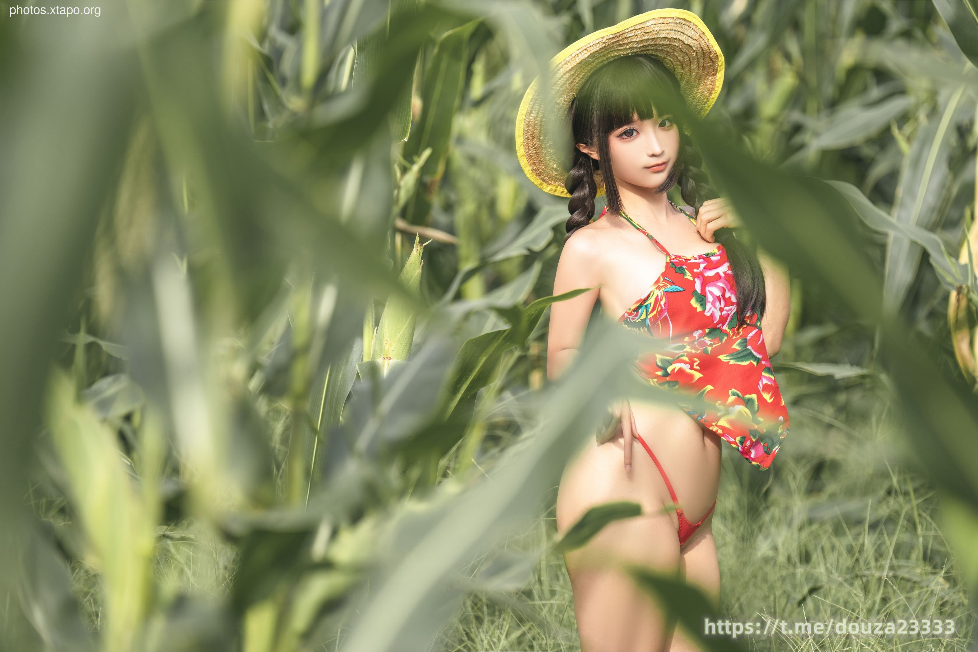 Story of Stupid Momo Rice Land (September 11th Member Resources)