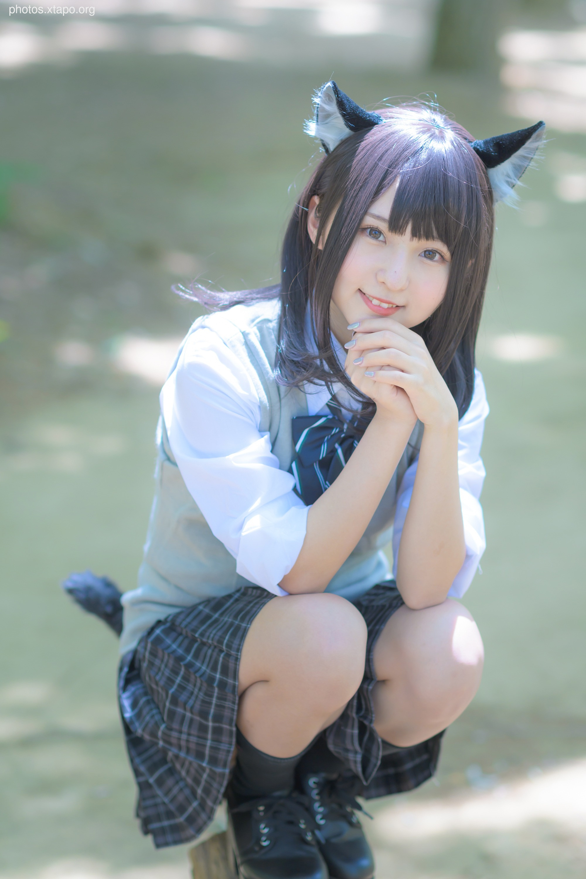 C96 Tofu Factory (Anni Tofu) mamefu Chaton